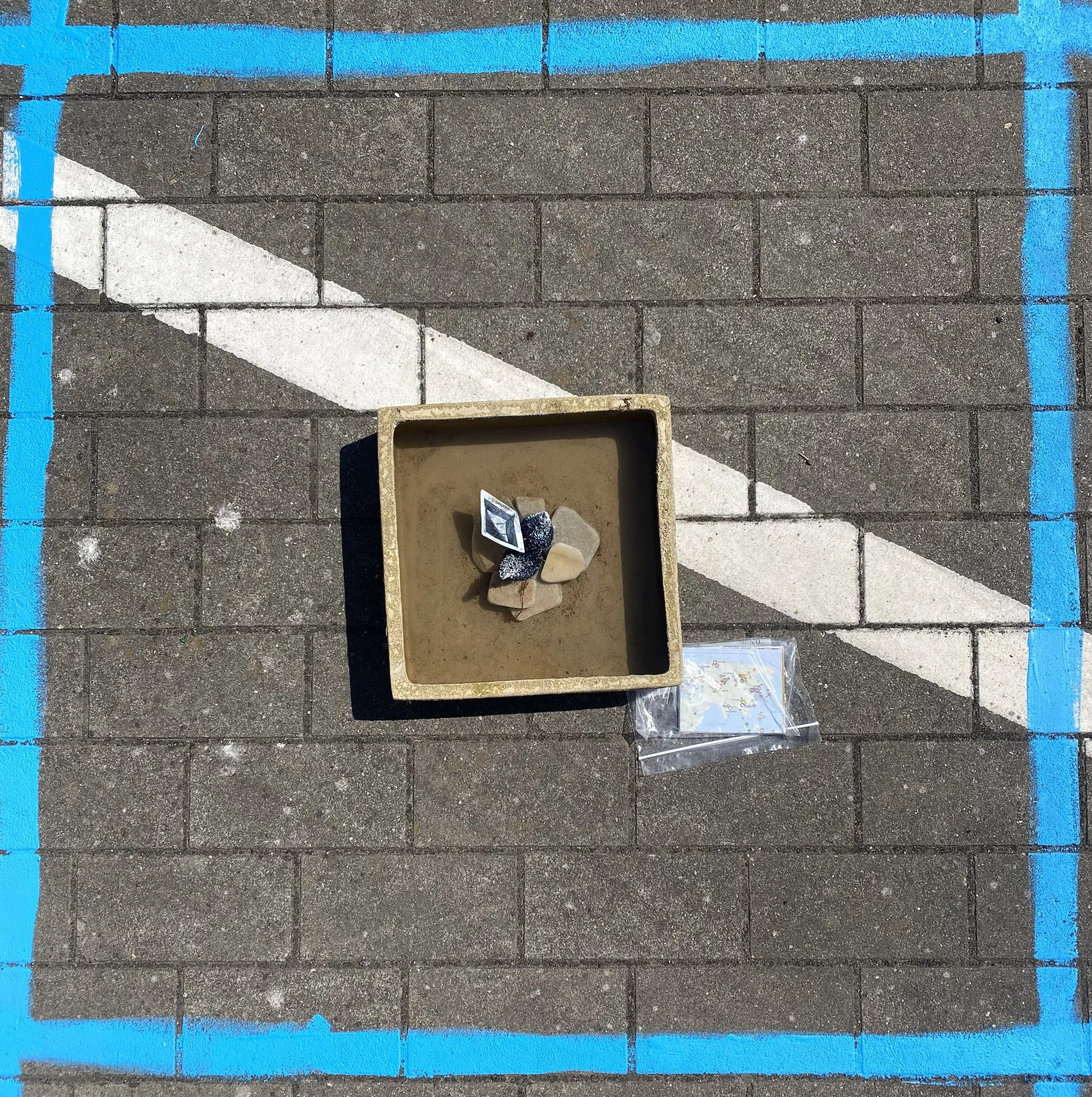 IMG_7832.jpeg