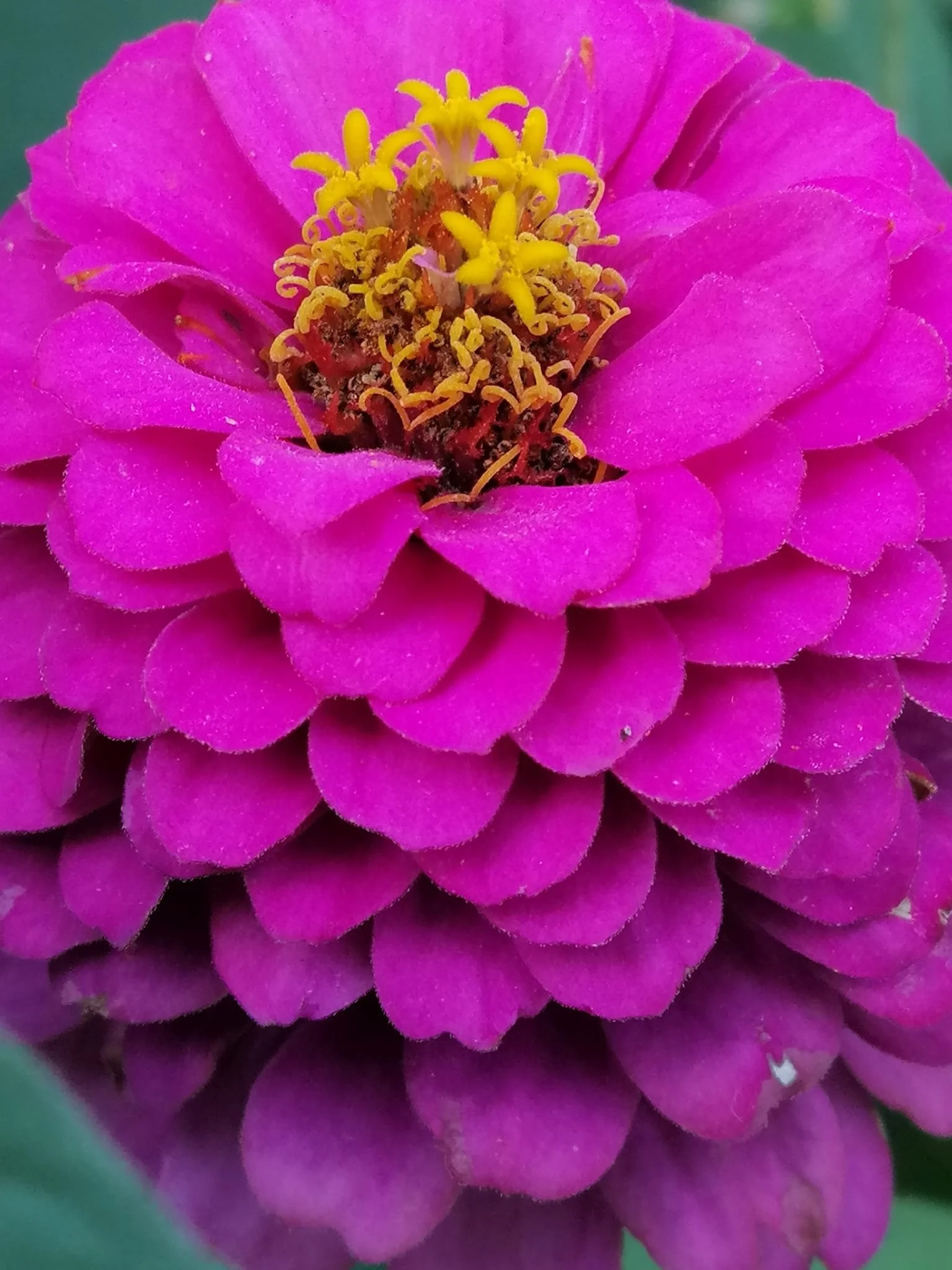 4a7c312f-f32d-4db2-94e7-6353b1352d7b.JPG
