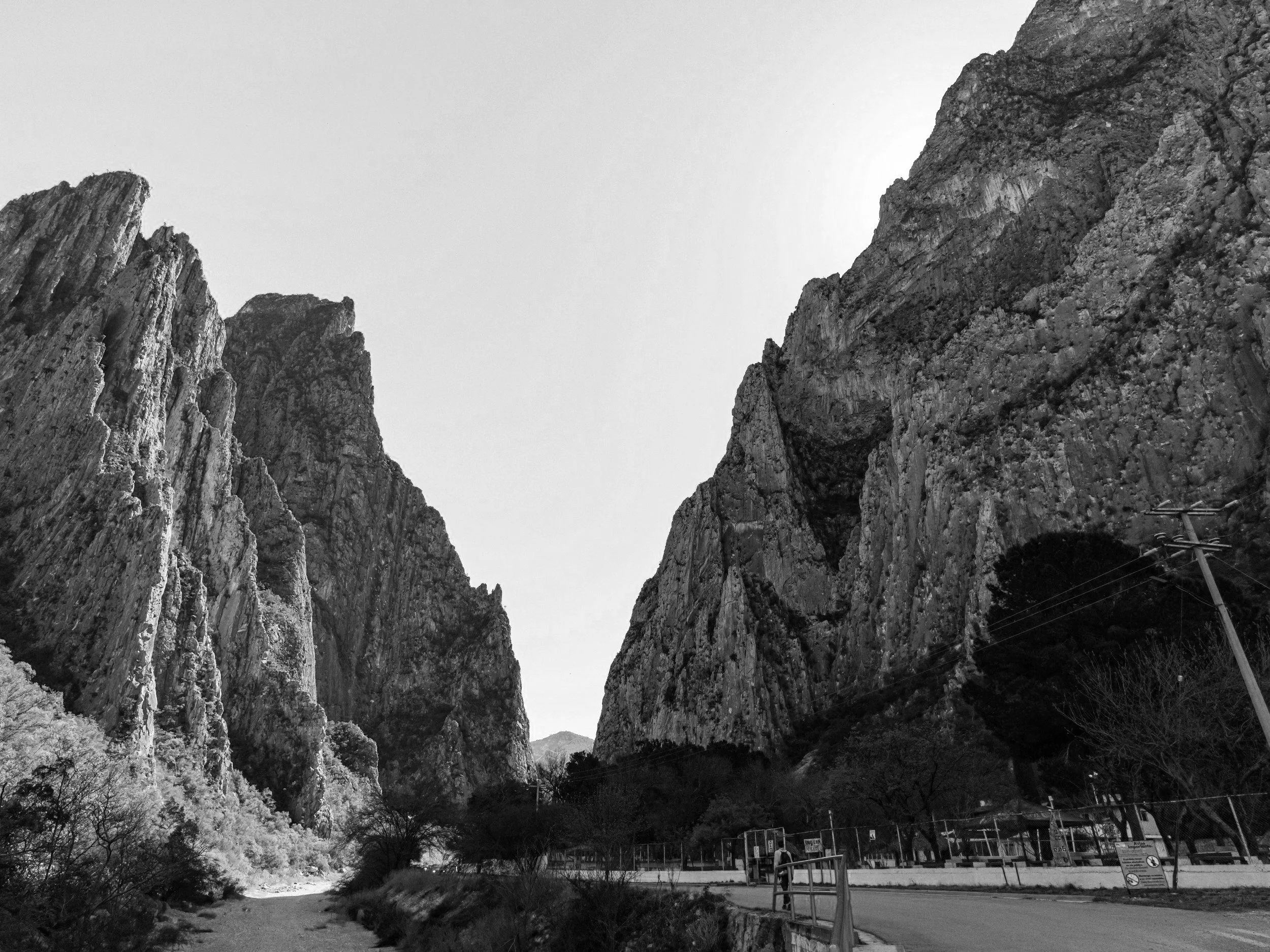 Monumental cañón rocoso con una carretera y árboles en primer plano, sin color.