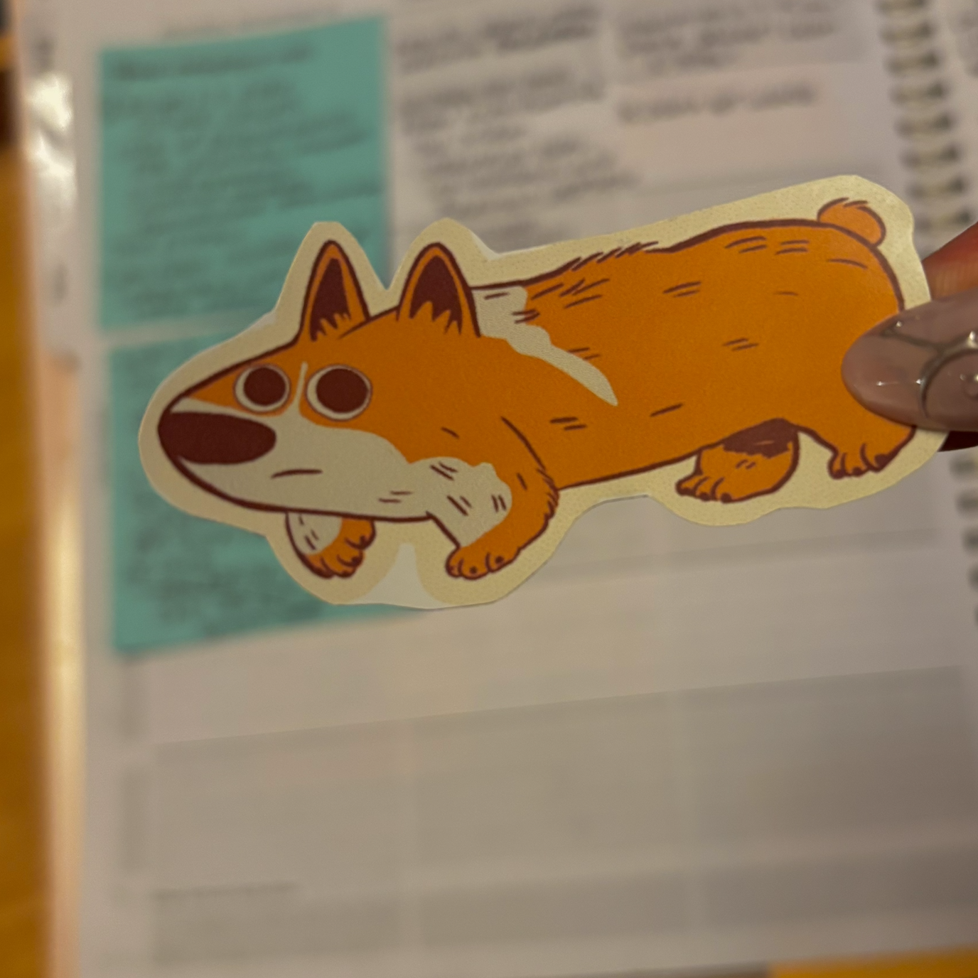 corgi sticker.png