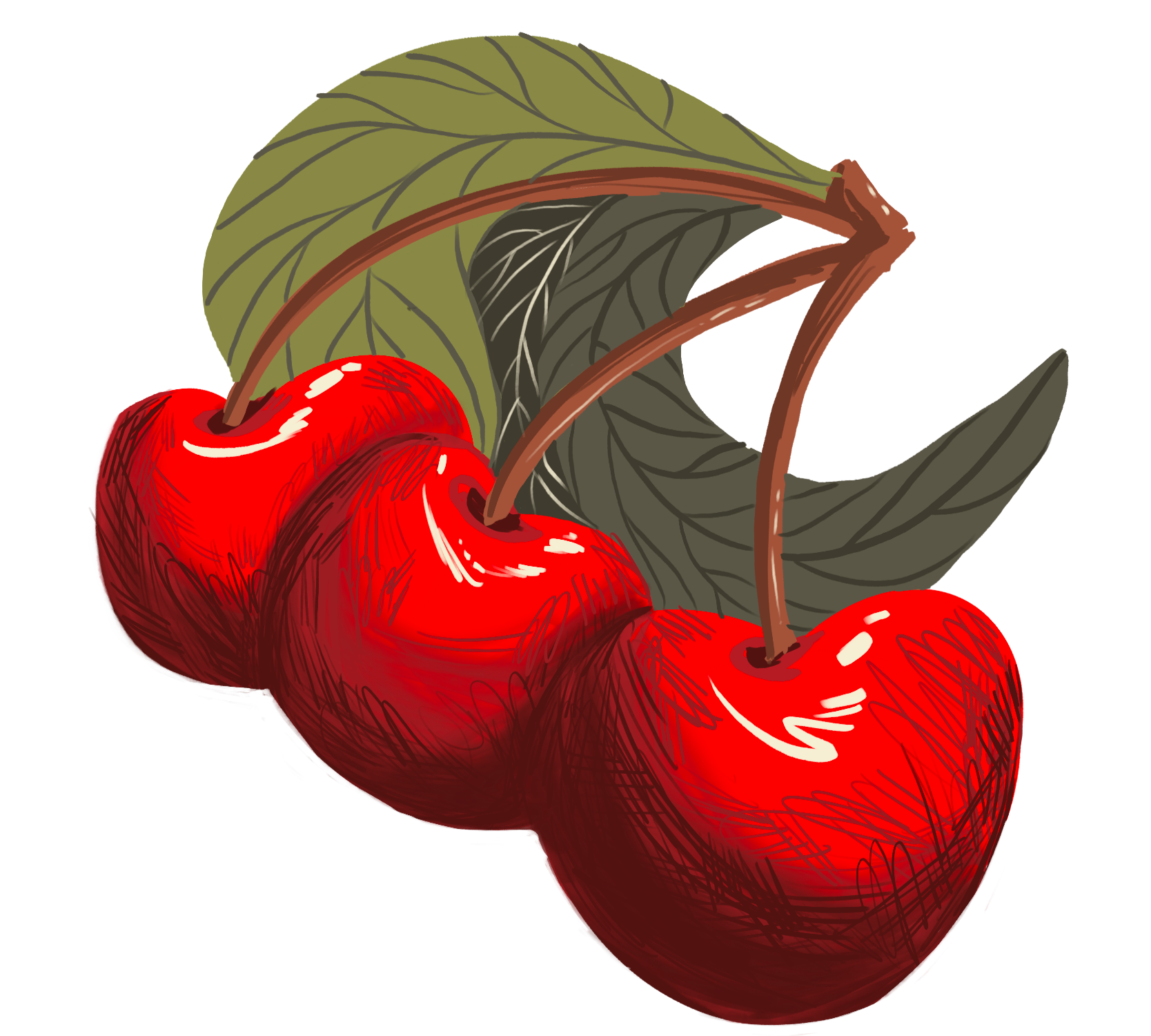 Illustration of two red cherries with green leaves and brown stems.