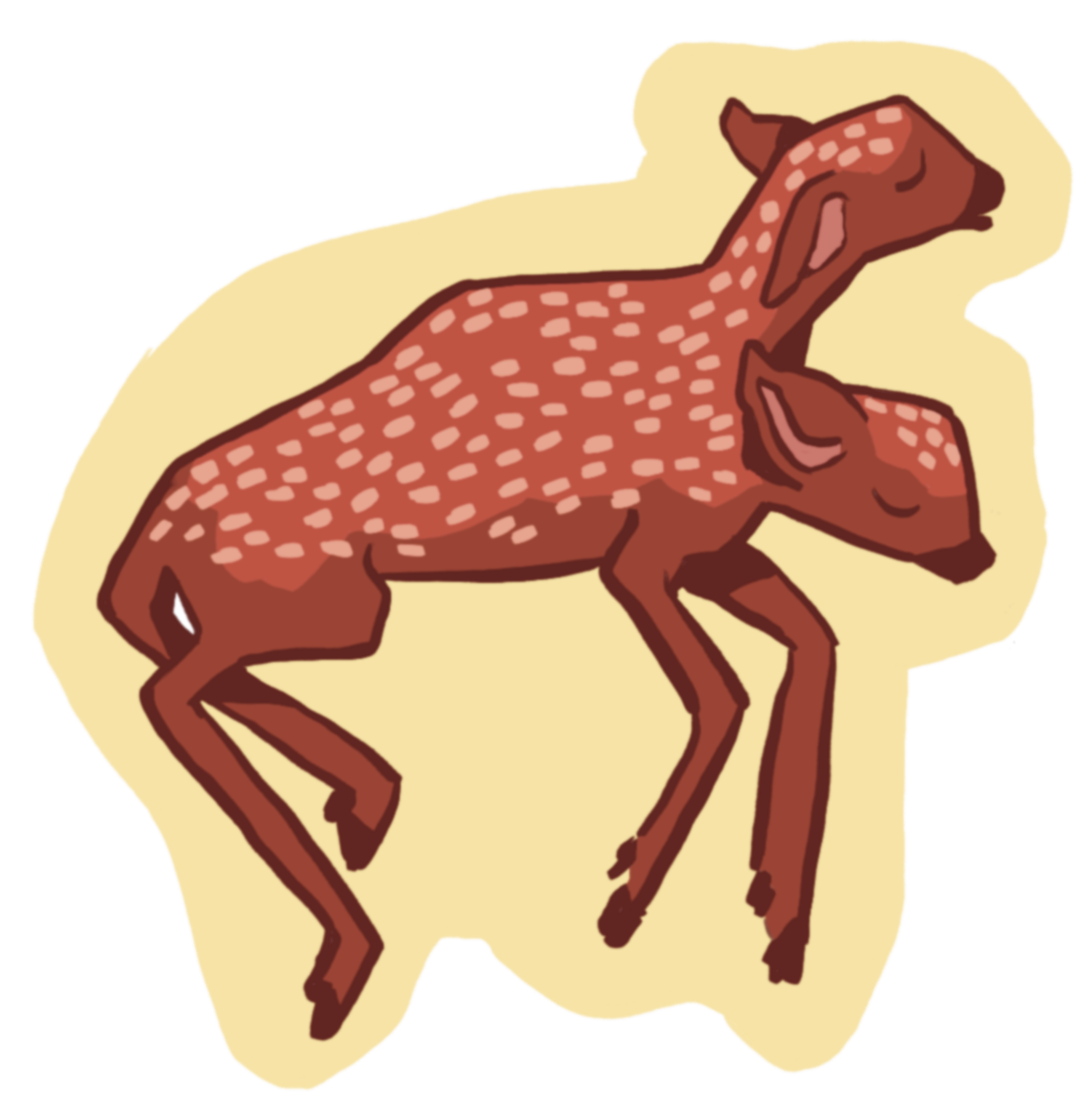 FAWN STICKER