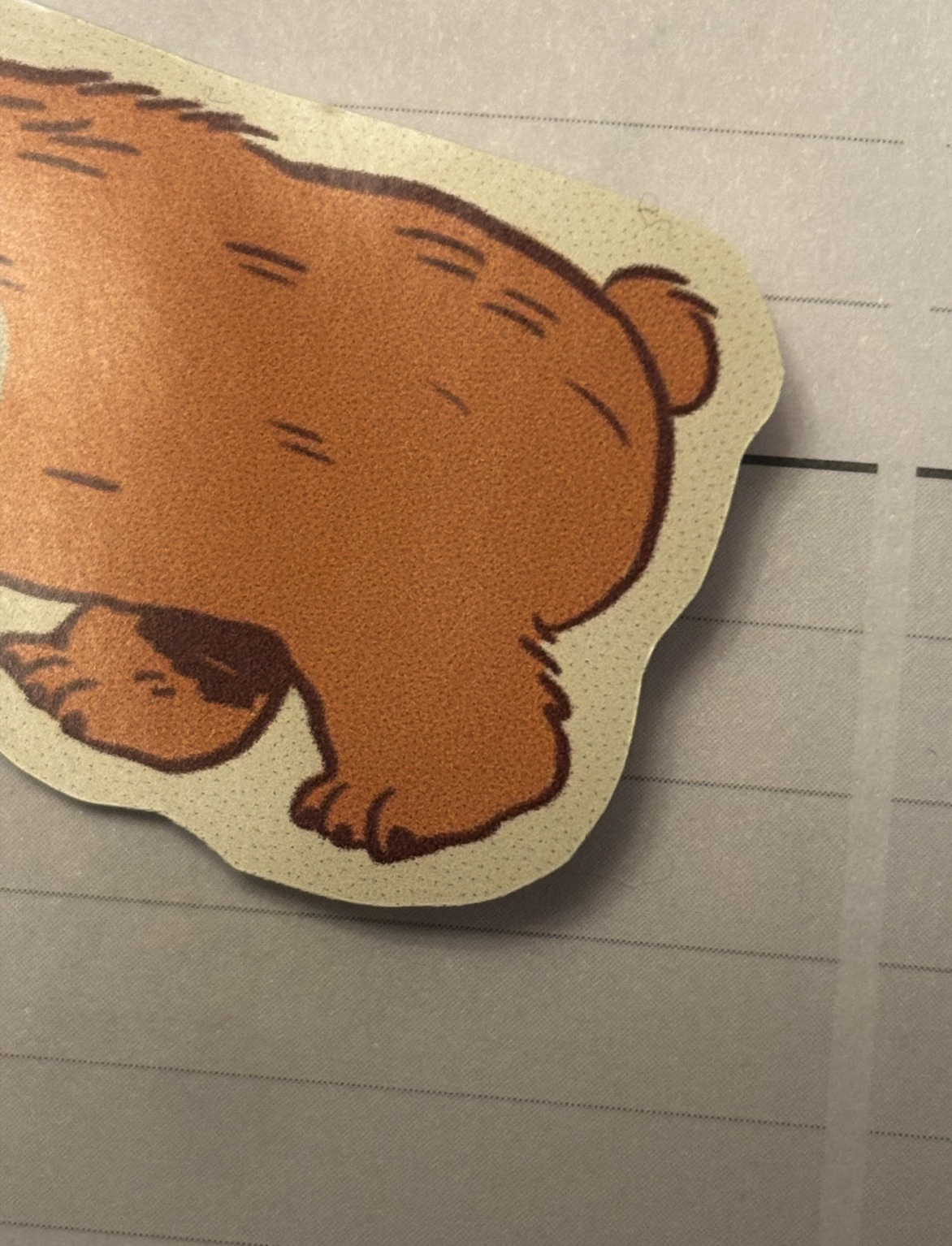 corgi detail sht.png