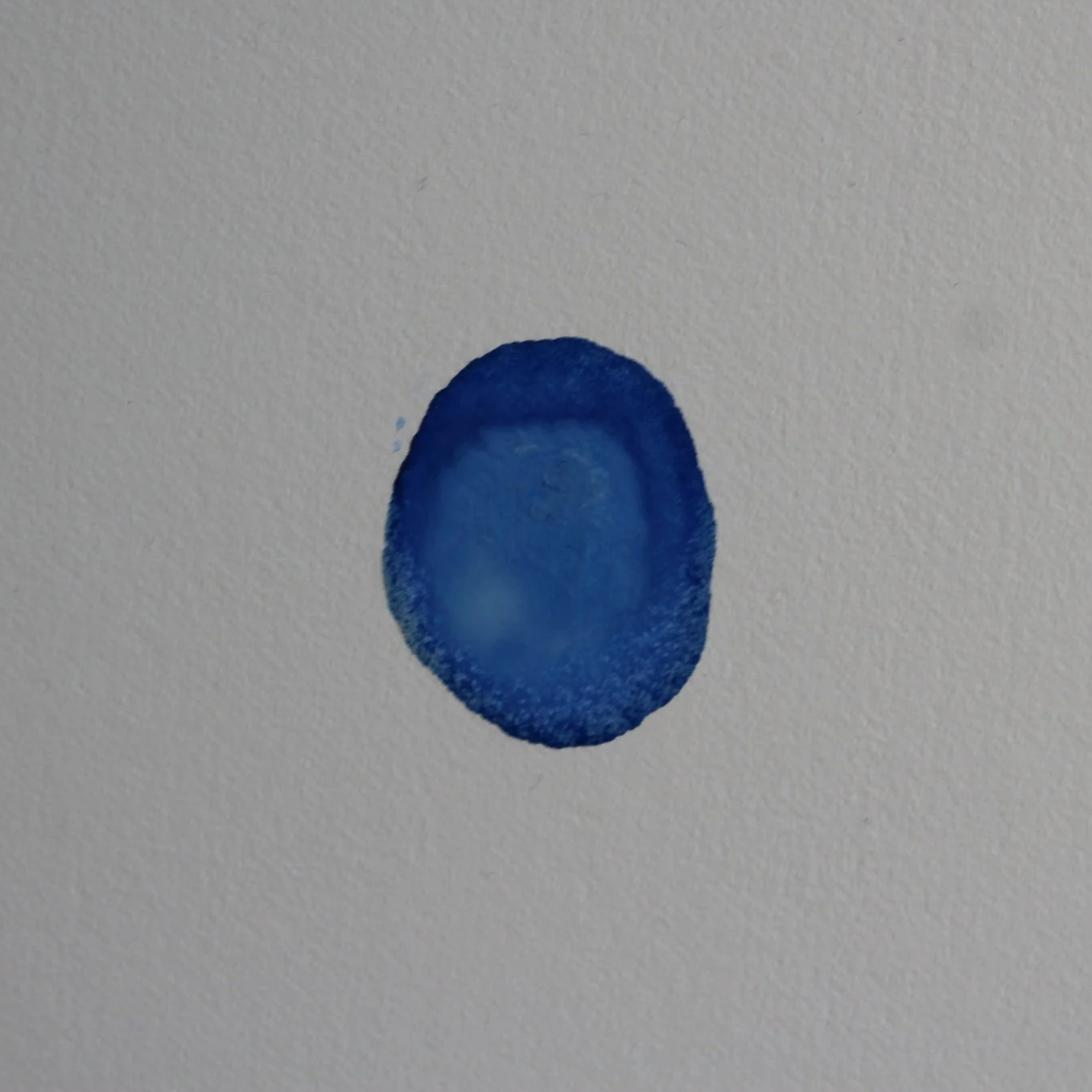 IMG_0021.png