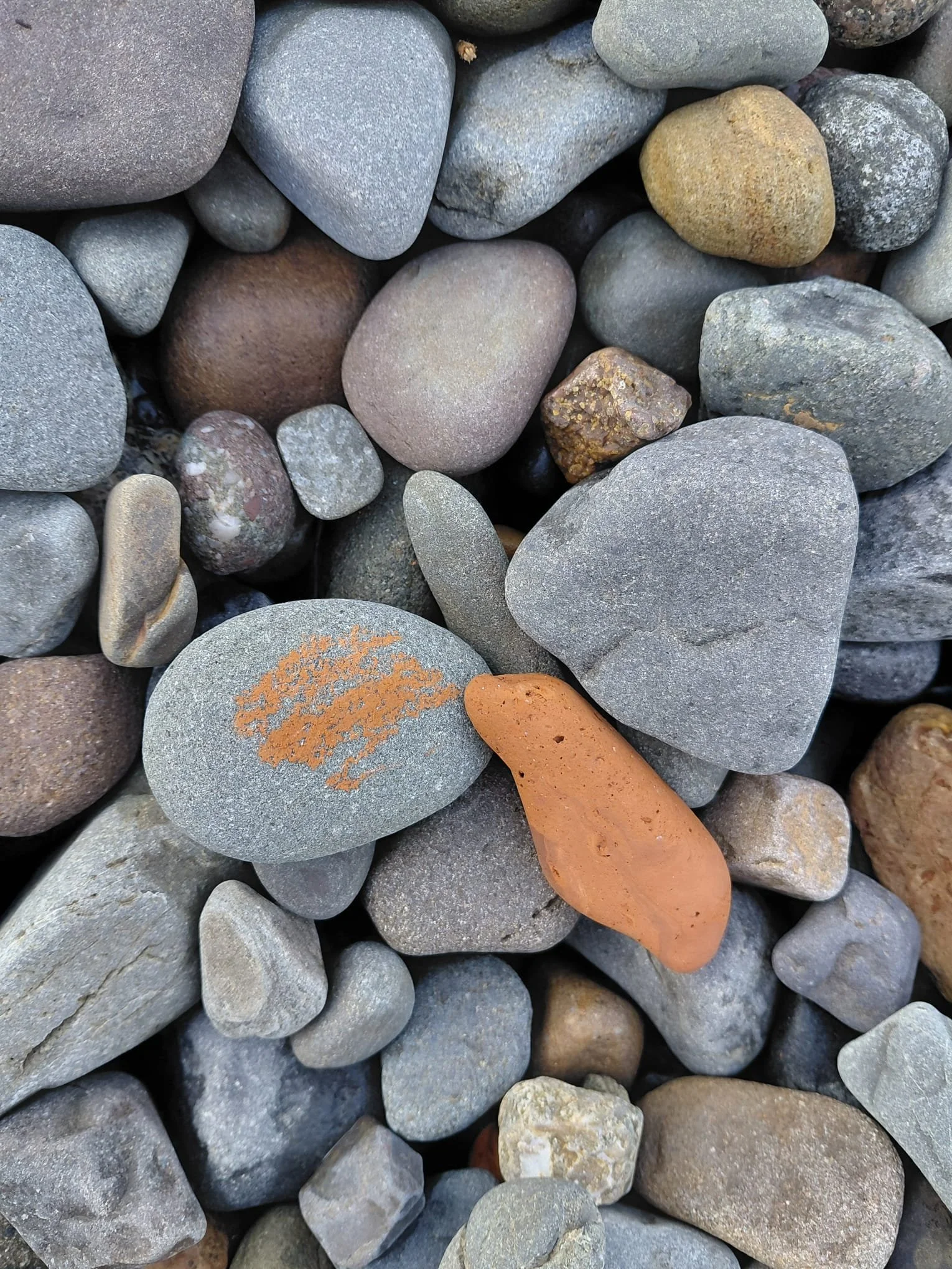Terracotta Brick Fragment_Girvan Beach 202517.jpeg