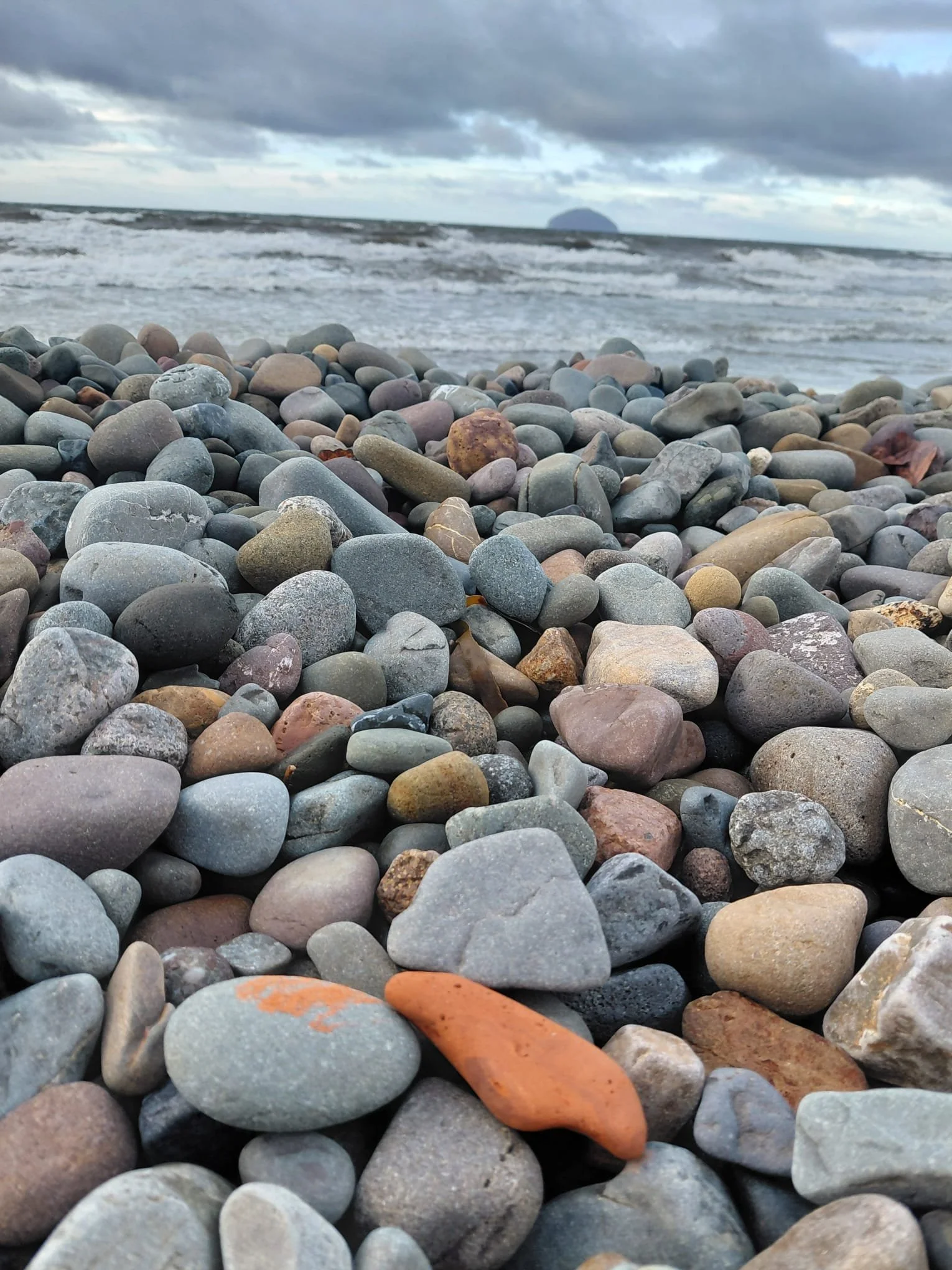 Terracotta Brick Fragment_Girvan Beach 202518.jpeg