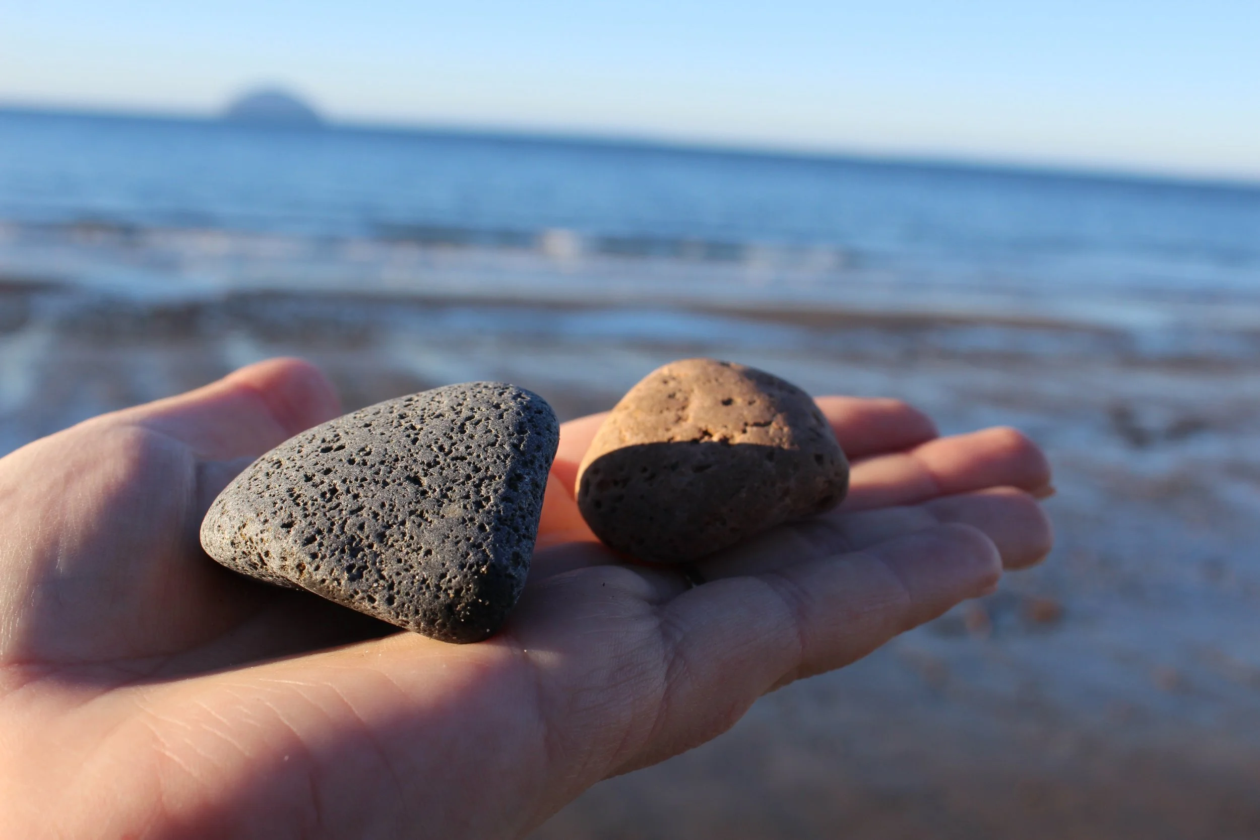 Pigment Gathering (Girvan Beach) Dec 20252.JPG