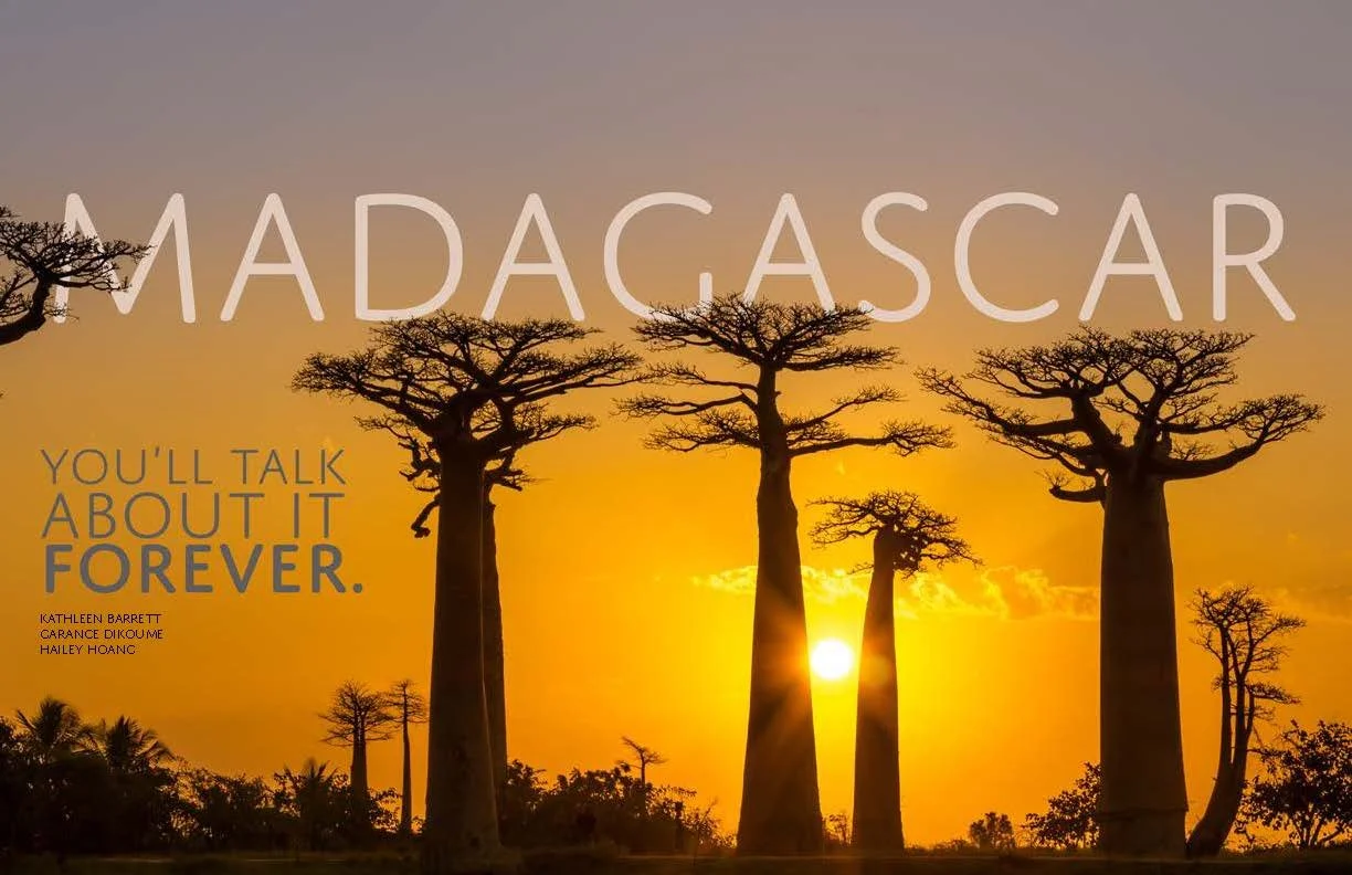 madagascar tourism campaign final_Page_01.jpg