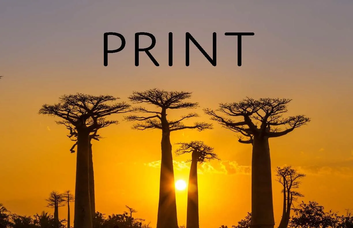 madagascar tourism campaign final_Page_03.jpg