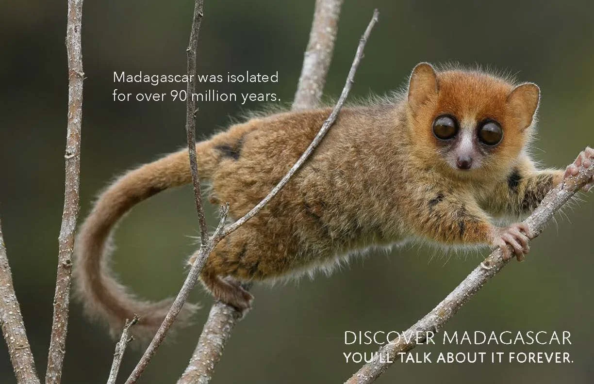 madagascar tourism campaign final_Page_04.jpg