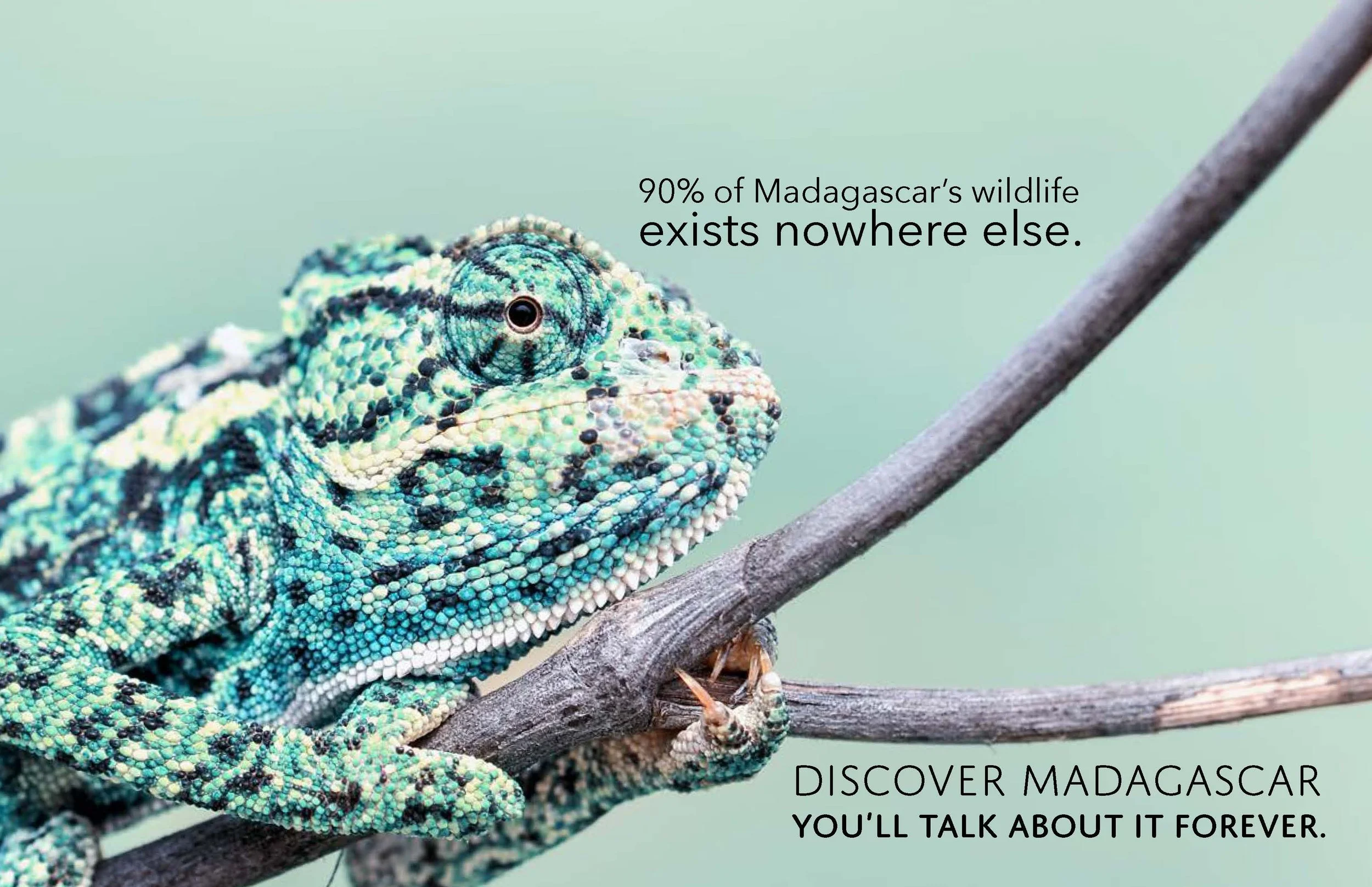 madagascar tourism campaign final_Page_06.jpg