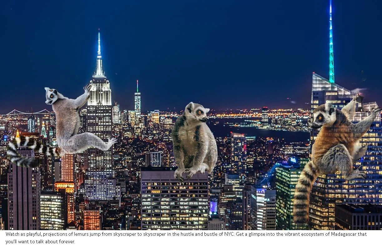 madagascar tourism campaign final_Page_12.jpg