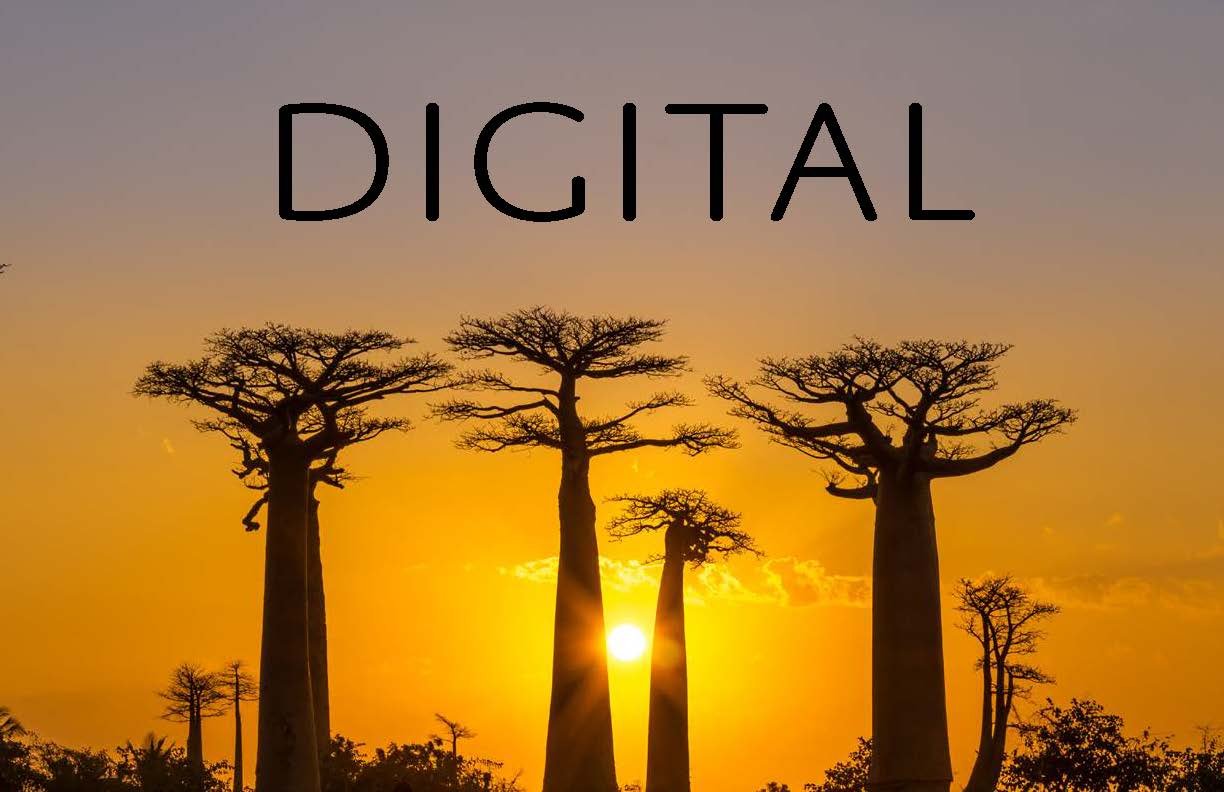madagascar tourism campaign final_Page_14.jpg