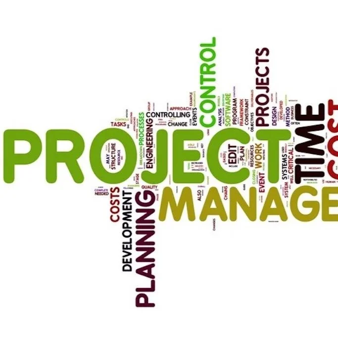 Projektmanagement – Komplexität meistern, Ergebnisse liefern
