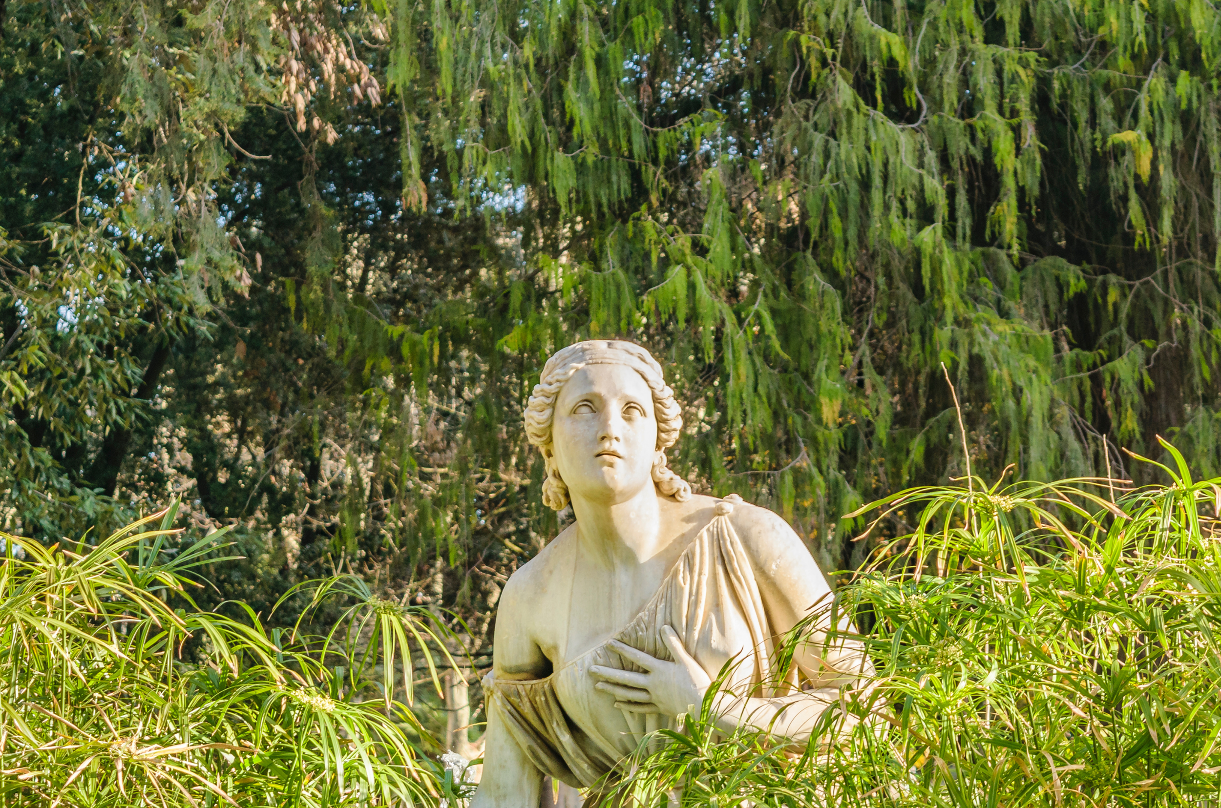 Grateful Hearts: Nurturing Your Spirit with Thanksgiving