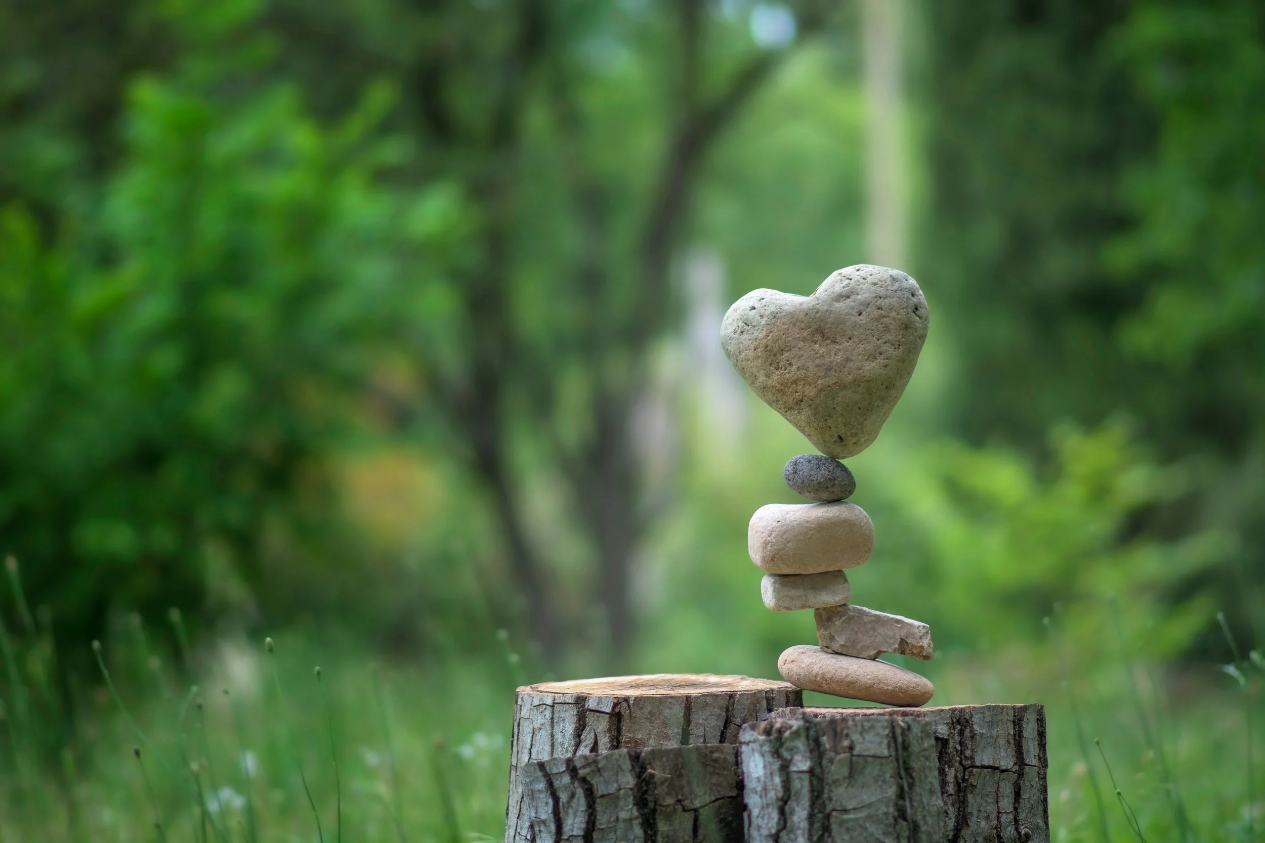Stack of seven stones balanced on a tree stump in a forest with green foliage in the background.