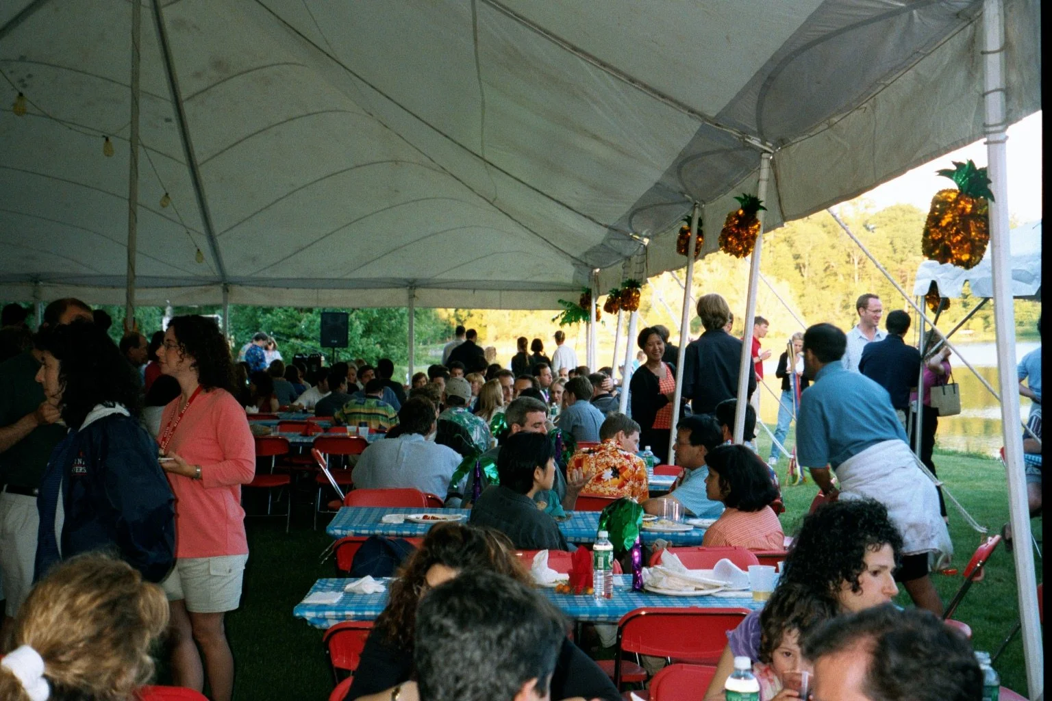 A large gathering of people under a tent by a lake, with tables decorated with blue checkered tablecloths, and pineapple-shaped decorations hanging from the tent.