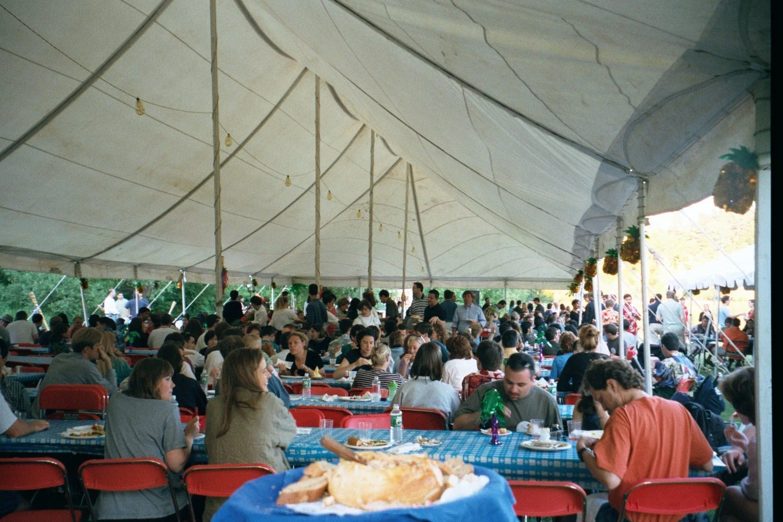 Crowd of people seated at tables under white tent, eating and socializing at daytime outdoor event, with some standing and moving around during Cornell Reunion weekend.