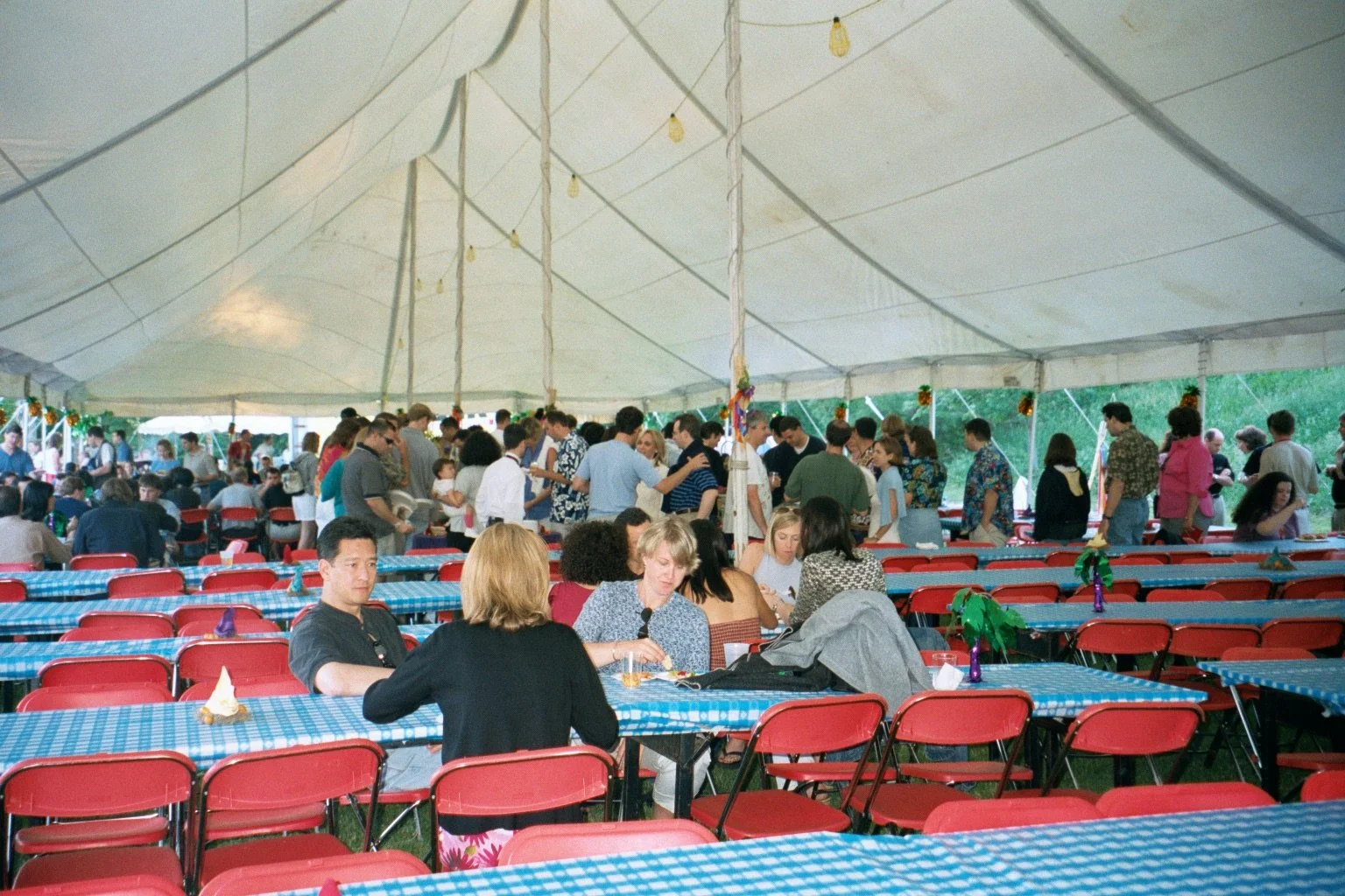 People gathered under a large outdoor tent at a social event or celebration, with tables covered in blue checkered tablecloths and red folding chairs, some people are sitting and others are standing in line or talking, and the tent is decorated with 