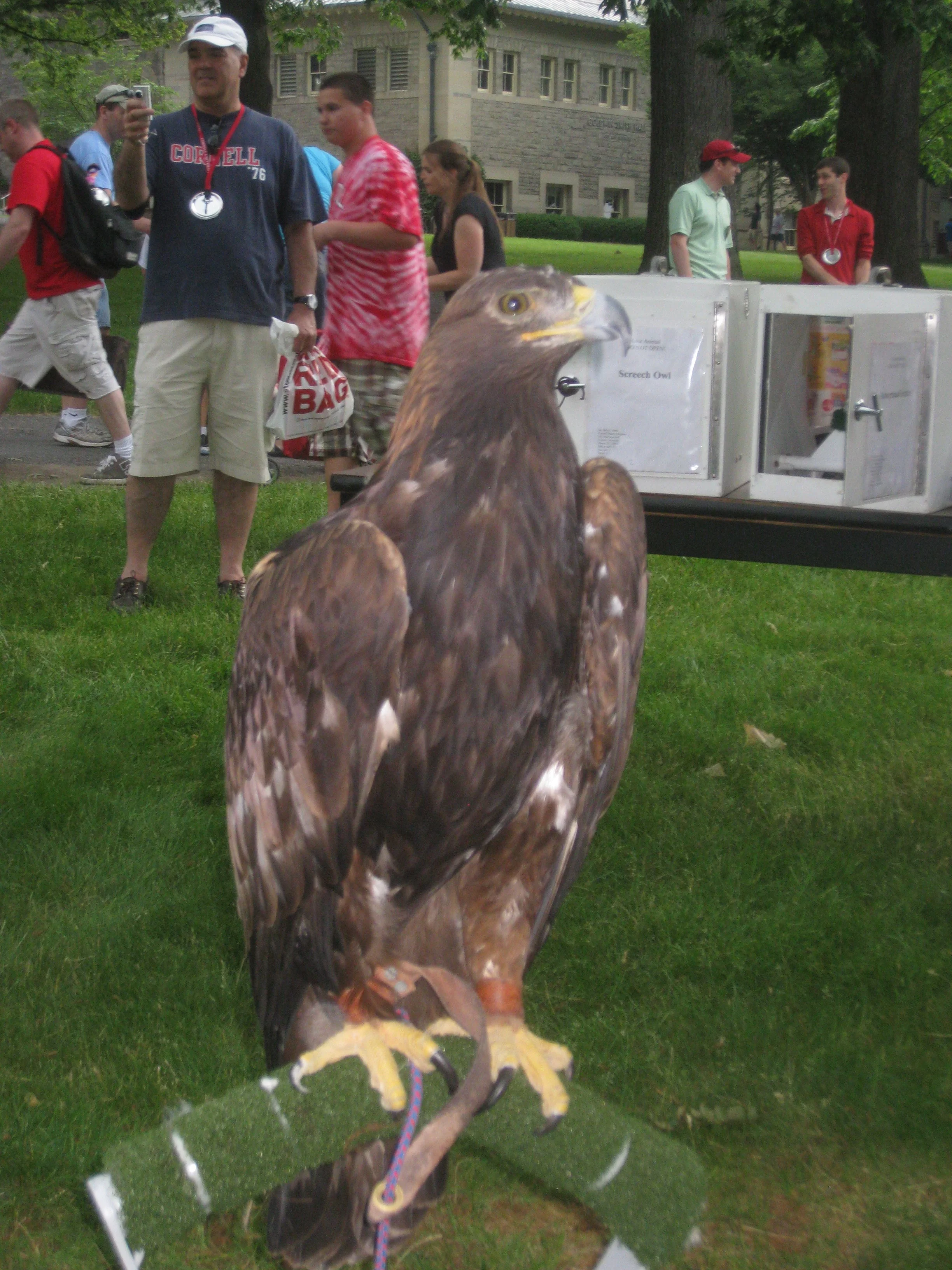 IMG_4858.jpg
