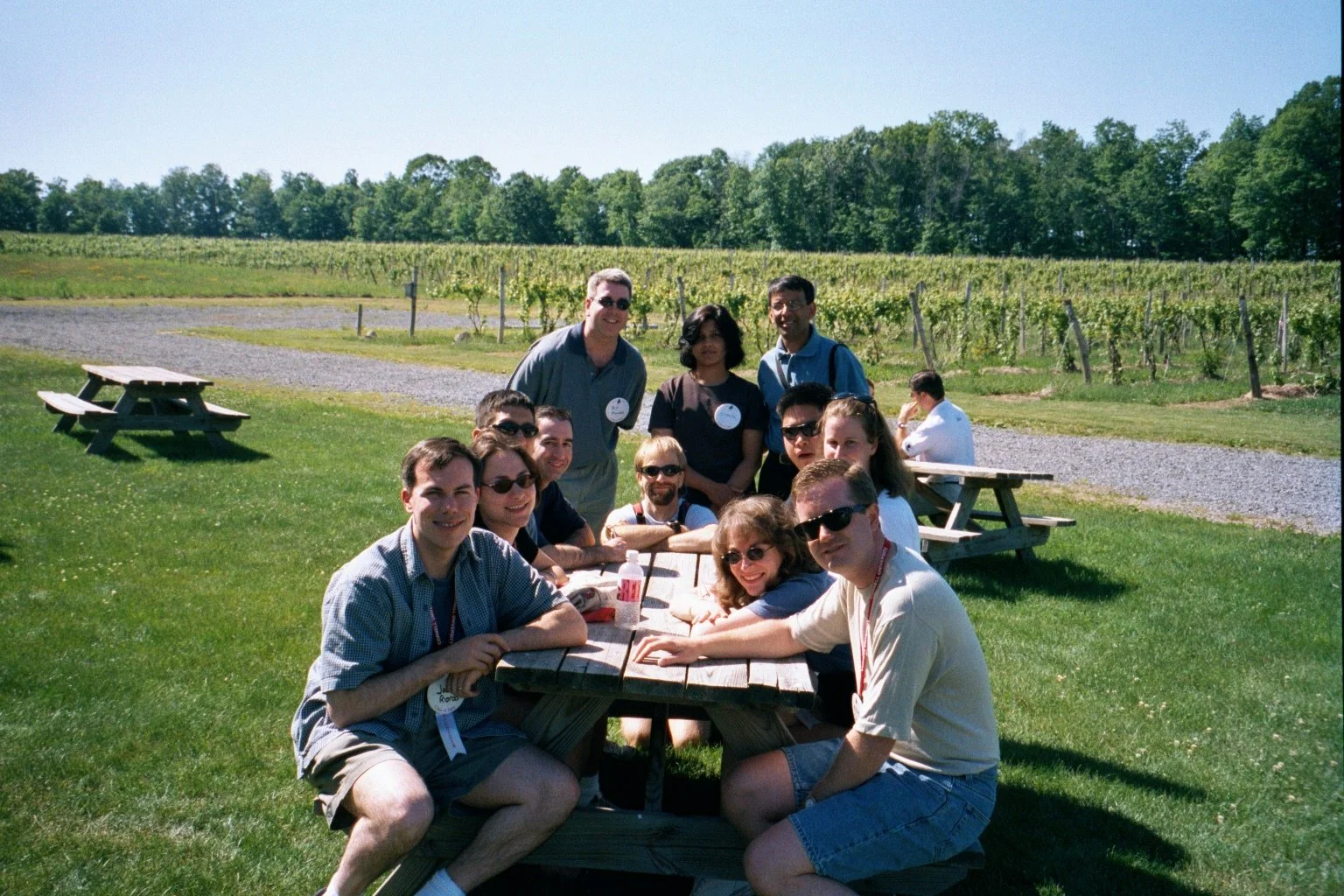 A group of people gathered around a picnic table outdoors in a grassy field with a vineyard in the background on a sunny day during Cornell Reunion weekend.