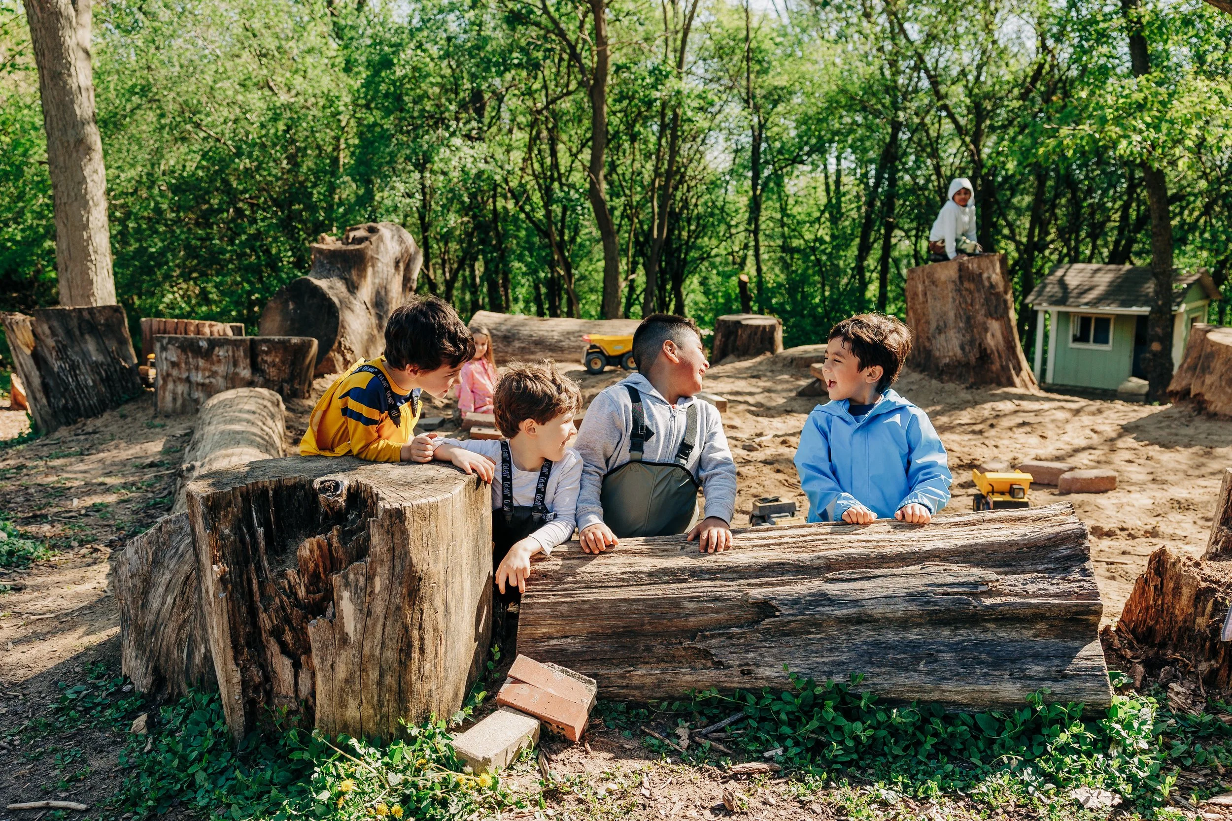 Community Corner | Join Our Community Today — The Waldorf School of DuPage