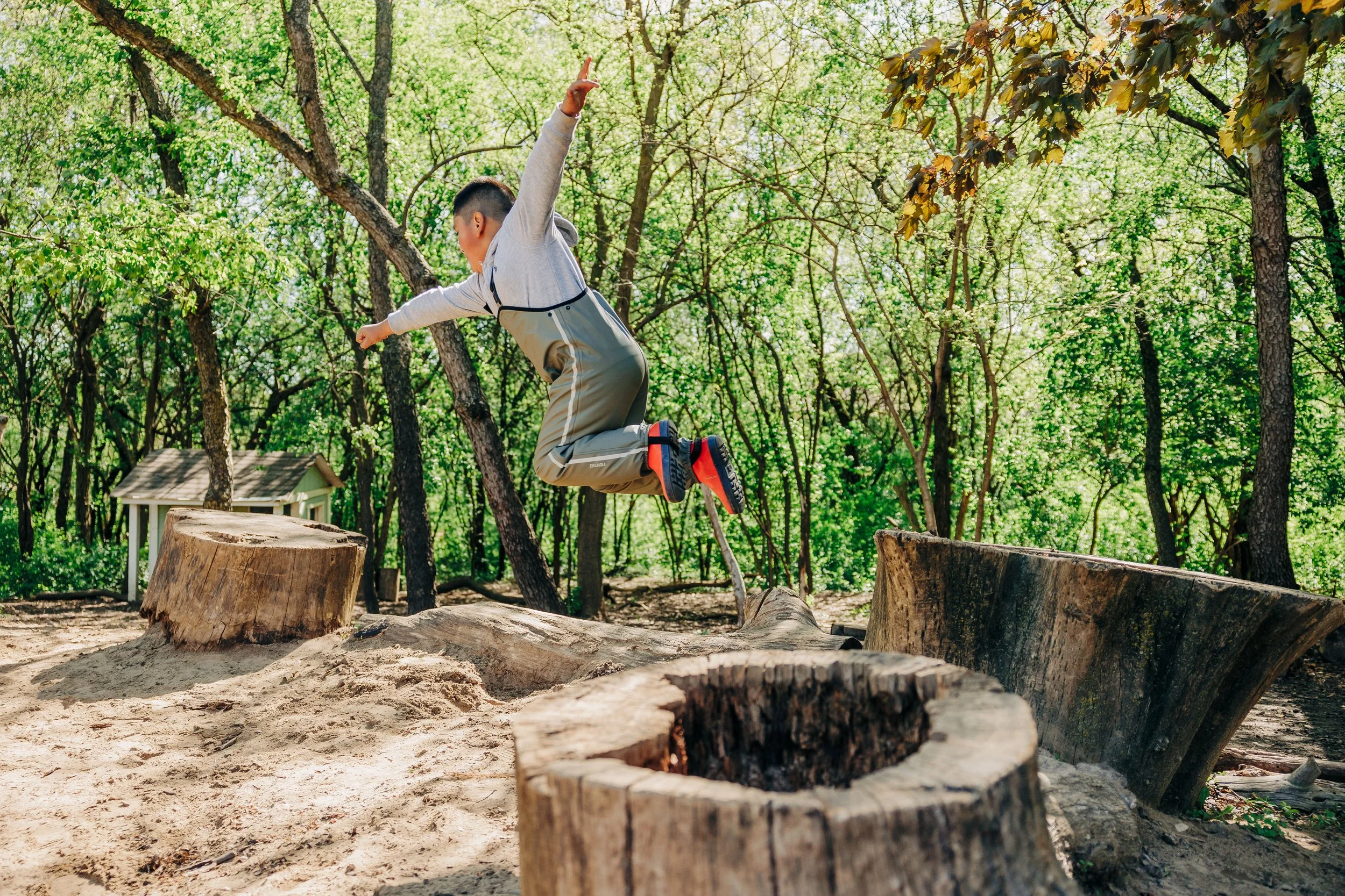 A child jumping off a large tree stump in a forested area during daytime.