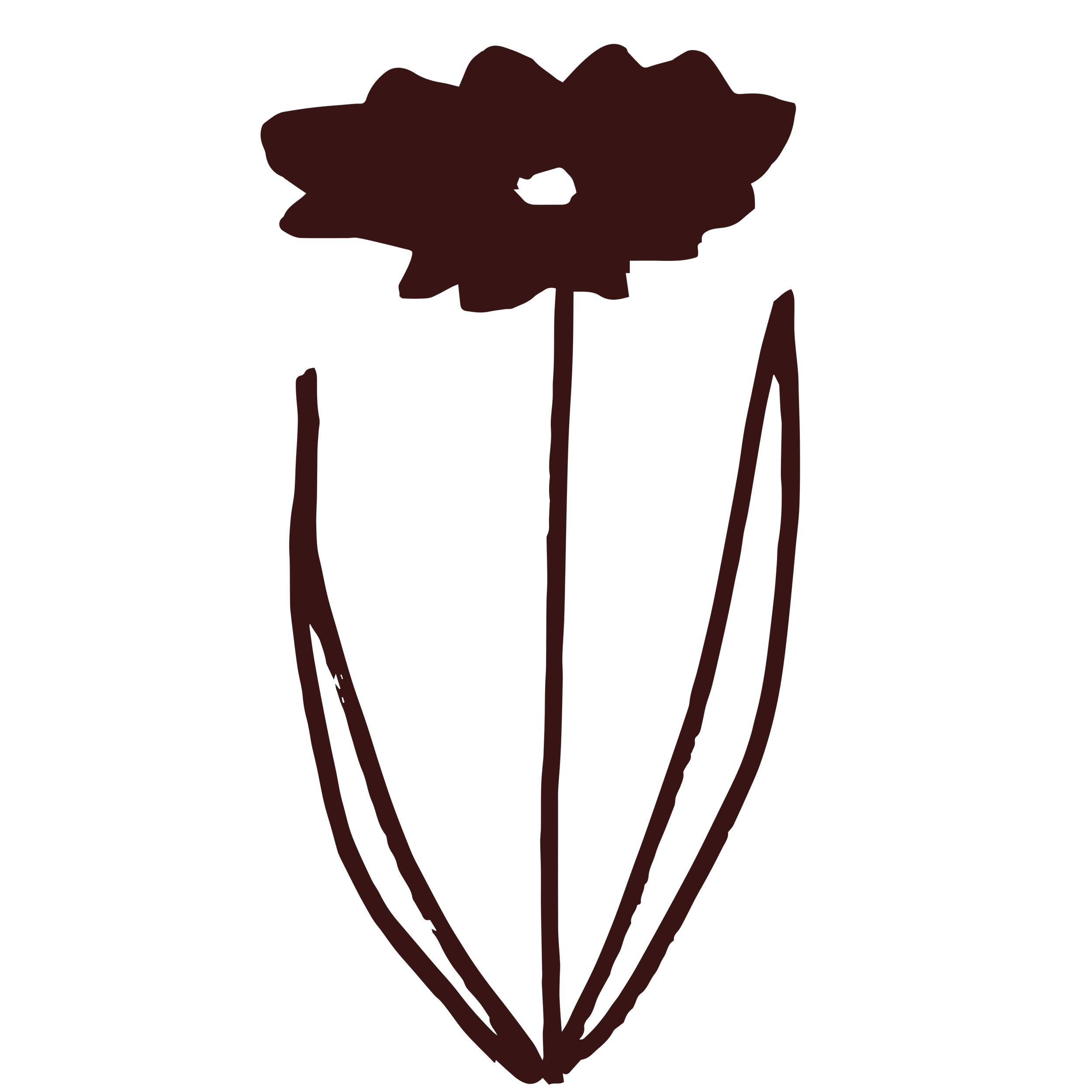 Dessin simple d'une fleur avec une grande tête florale et deux longues feuilles