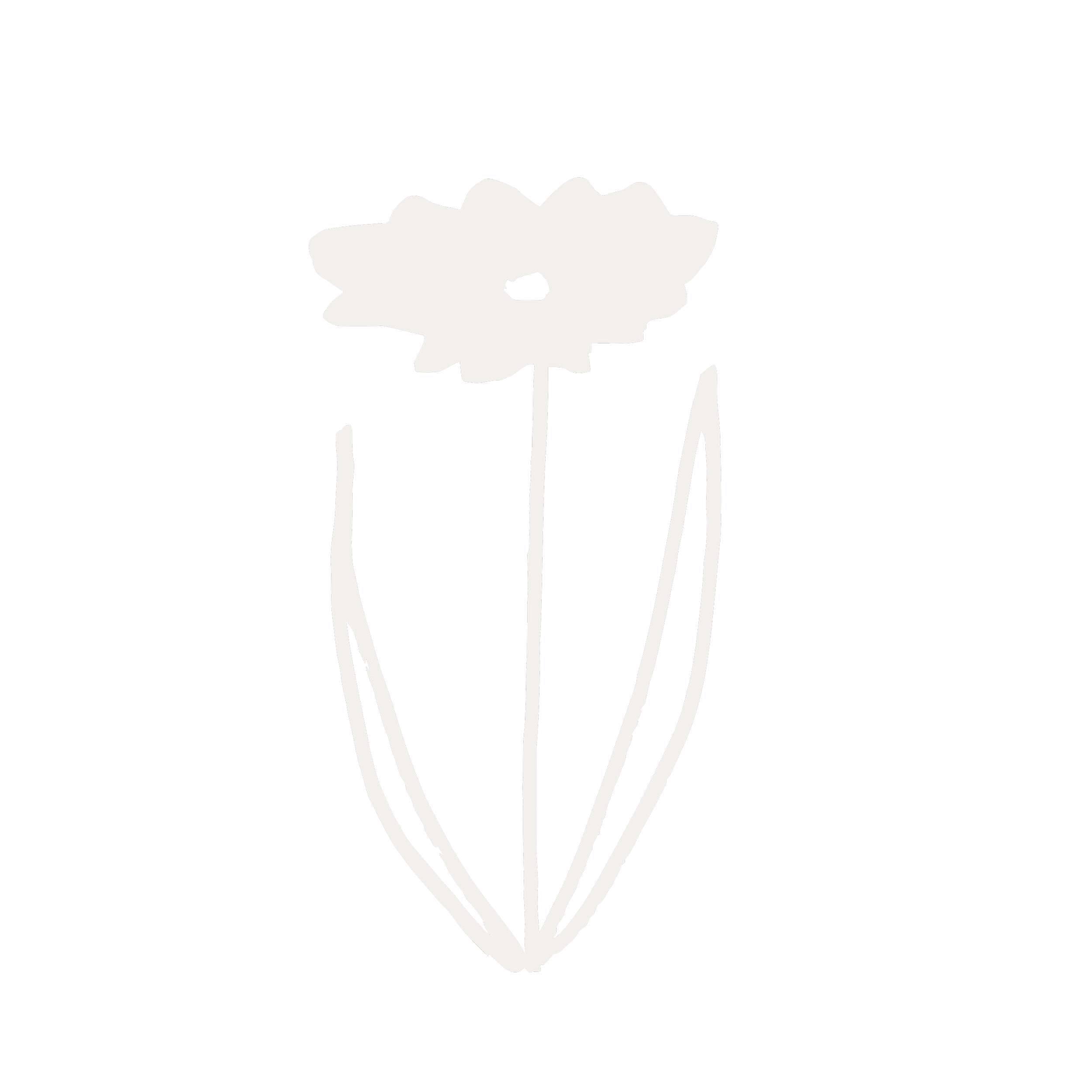 Illustration en noir et blanc d'une fleur simple avec trois longues feuilles