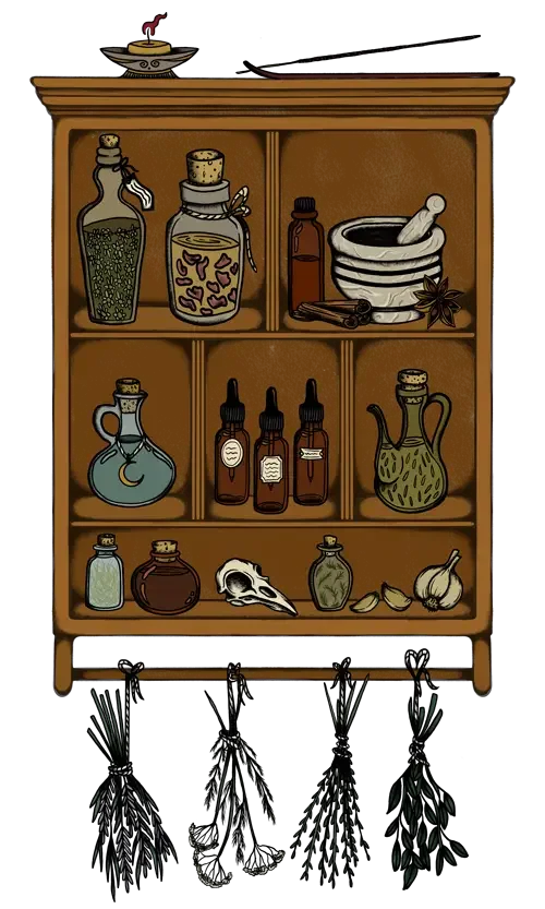 Une étagère en bois avec divers bocaux, flacons, un mortier et pilon, un crâne d'animal, de l'ail, et des herbes suspendues en dessous.