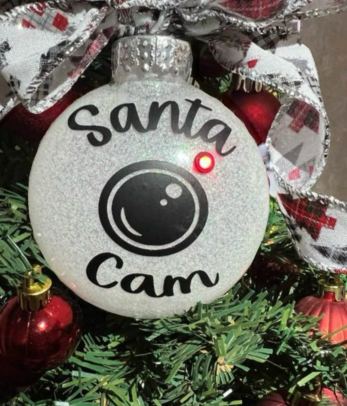 Santa Cam