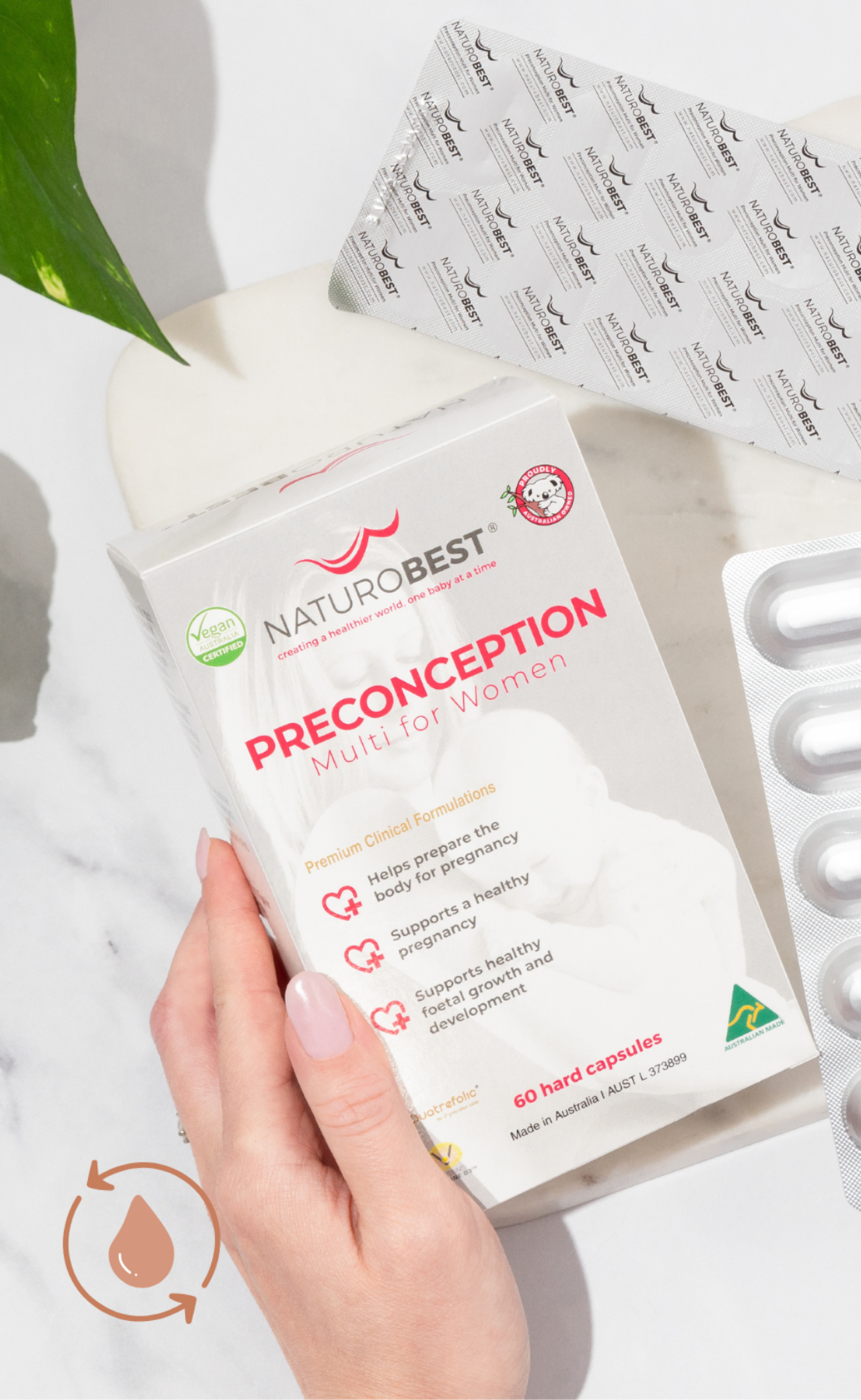 Folic Acid vs Folate: What You Really Need to Know Before Choosing a Prenatal