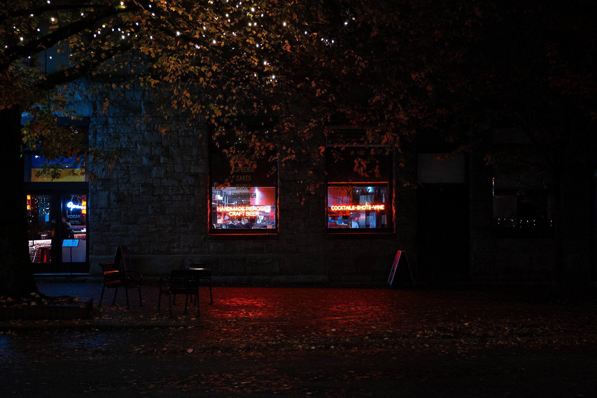 DSC_0086.jpg