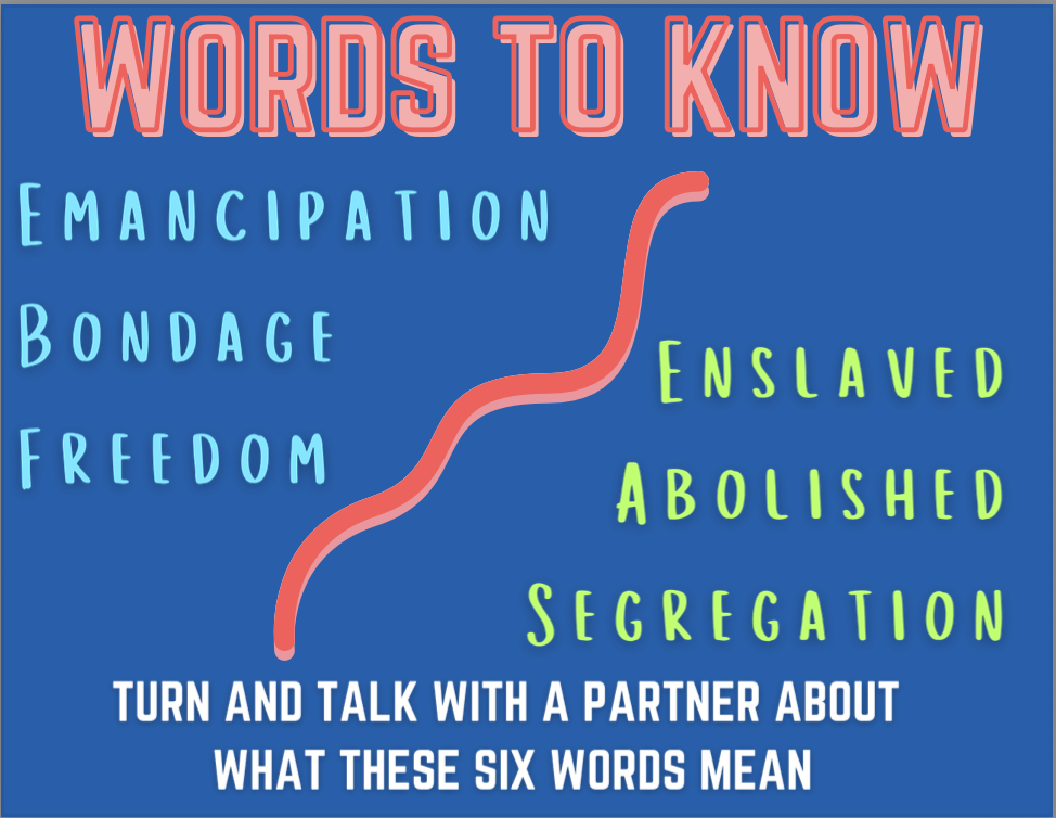 Screenshot 2025-06-24 at 12.00.45 PM.png