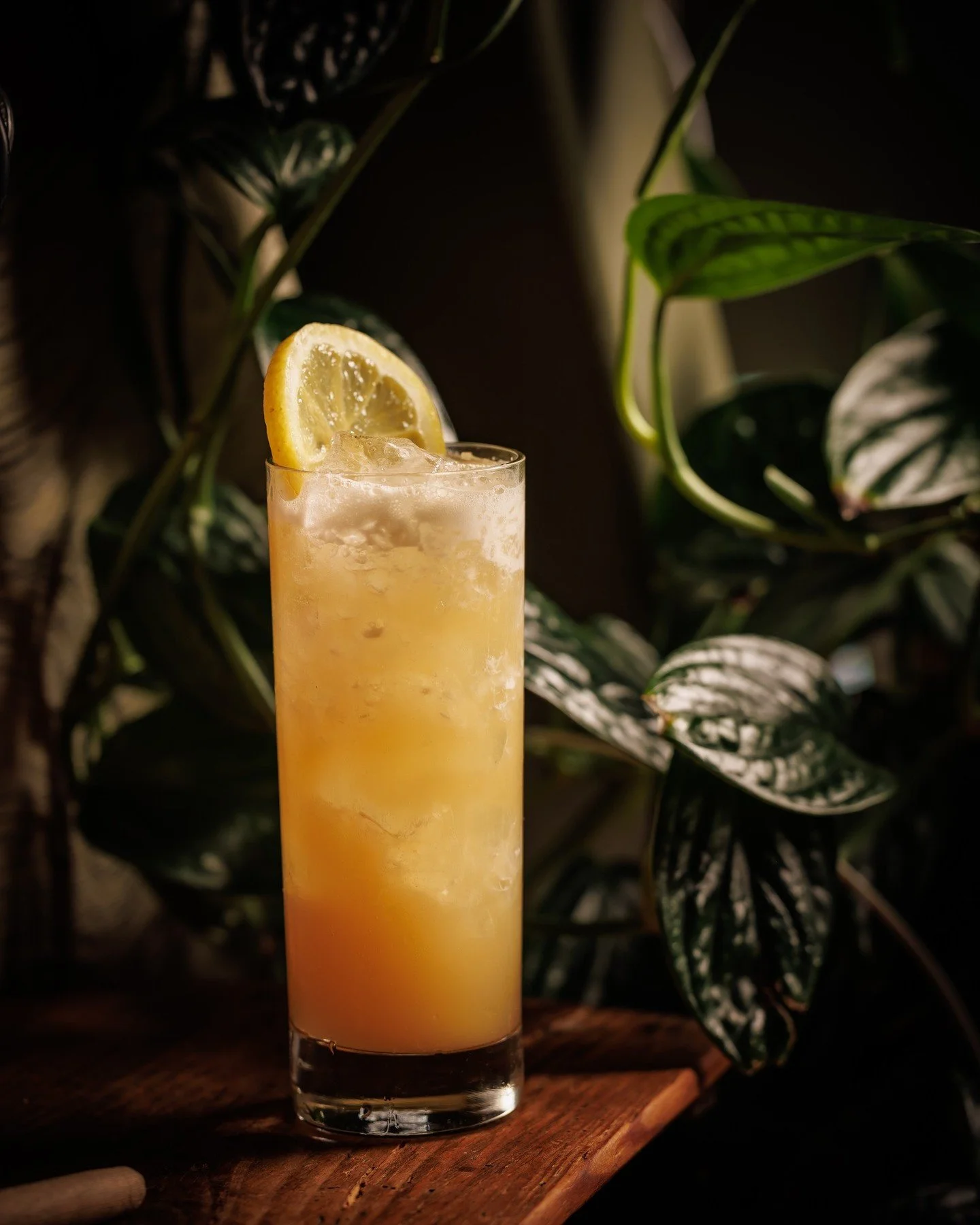 Meet Boone&rsquo;s Punch 🐾 &mdash; available all December long!

Order one, and 100% of the proceeds go straight to Red Leash Rescue, a 501(c)(3) dedicated to giving adult, senior, and terminally ill dogs a second chance.

Stop in, raise a glass to 