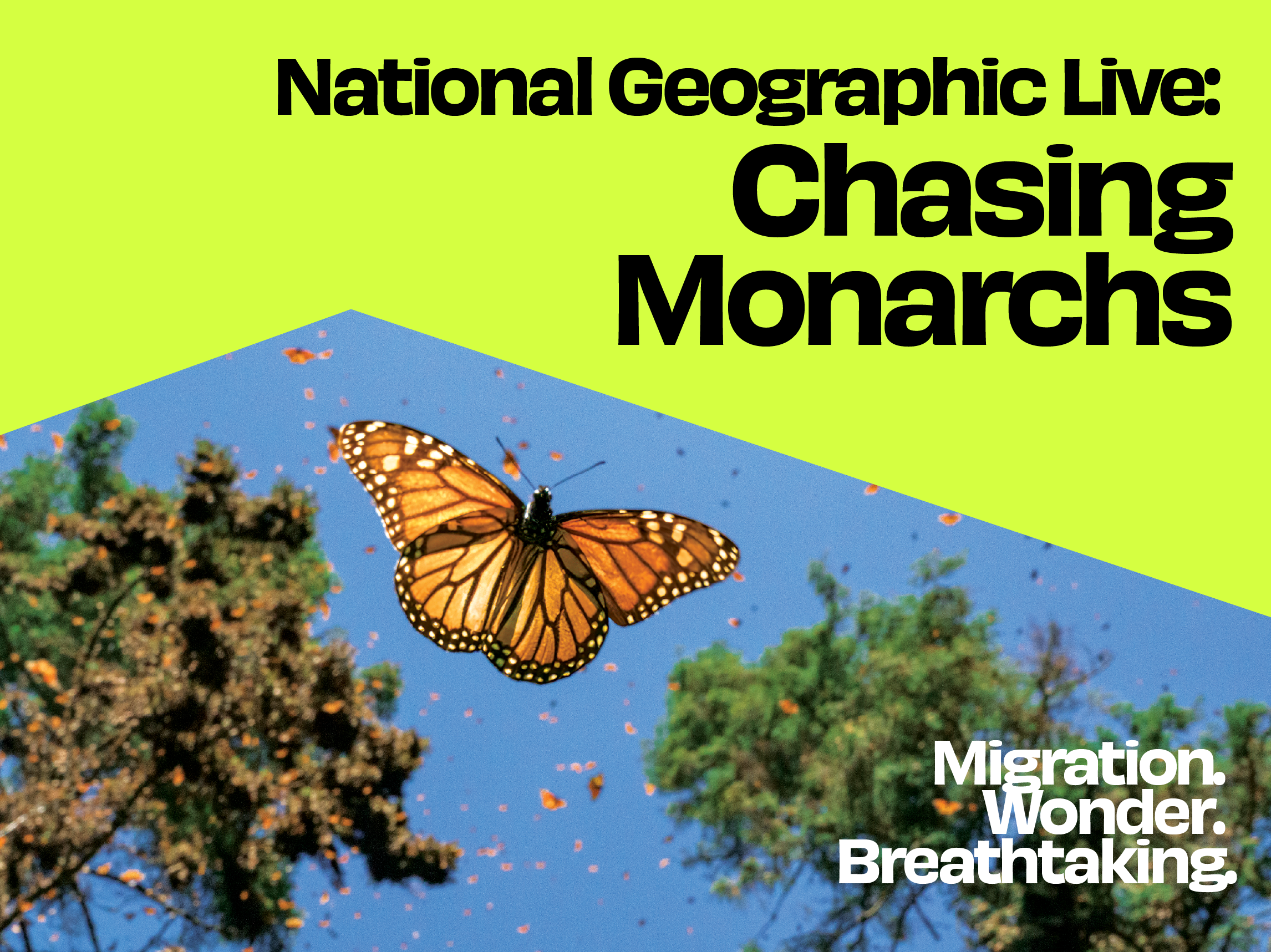 National Geographic Live: Chasing Monarchs