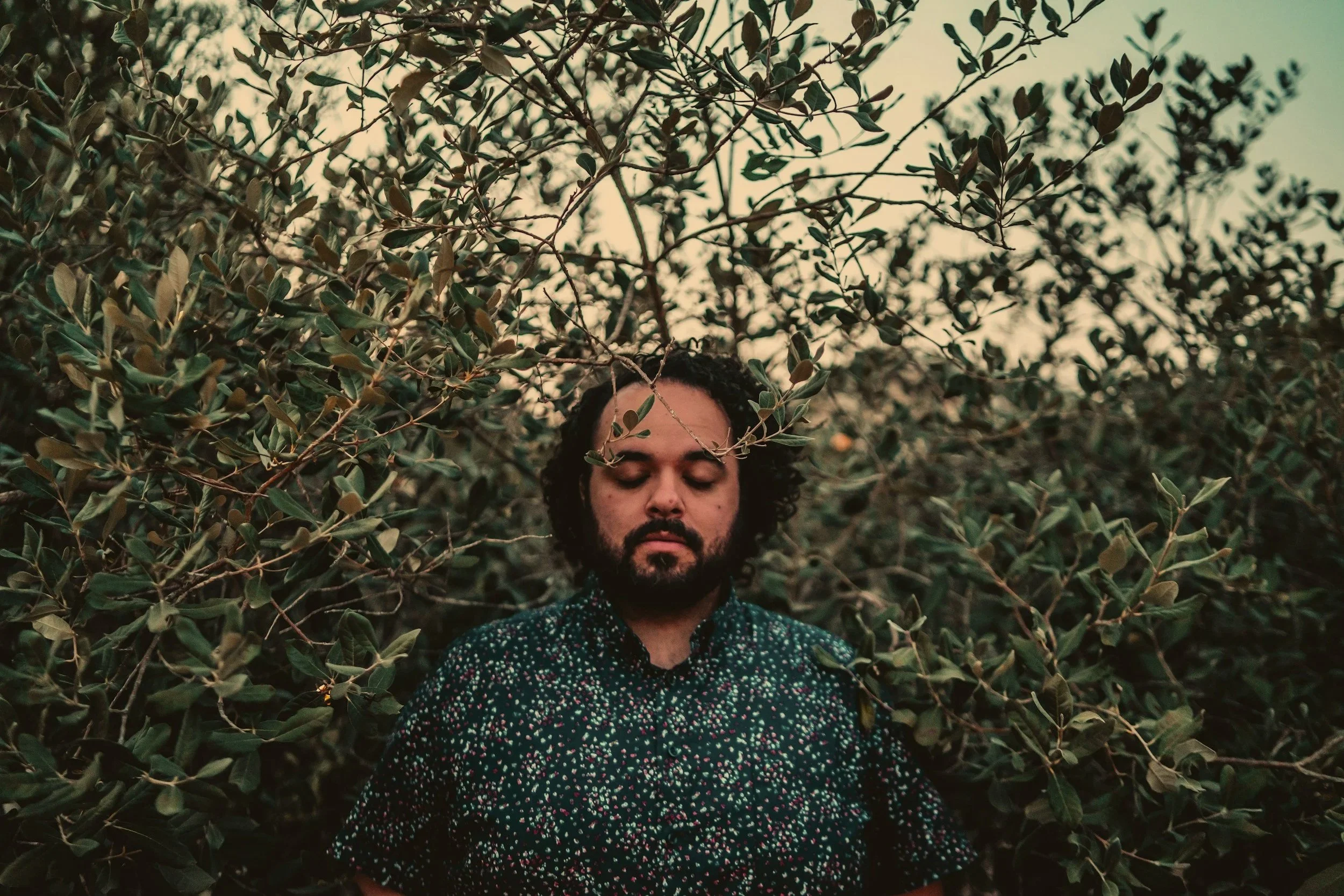 A man with dark curly hair and a beard stands among dense green foliage with closed eyes, wearing a black shirt with small white, pink, and green patterns, during sunset or late afternoon.