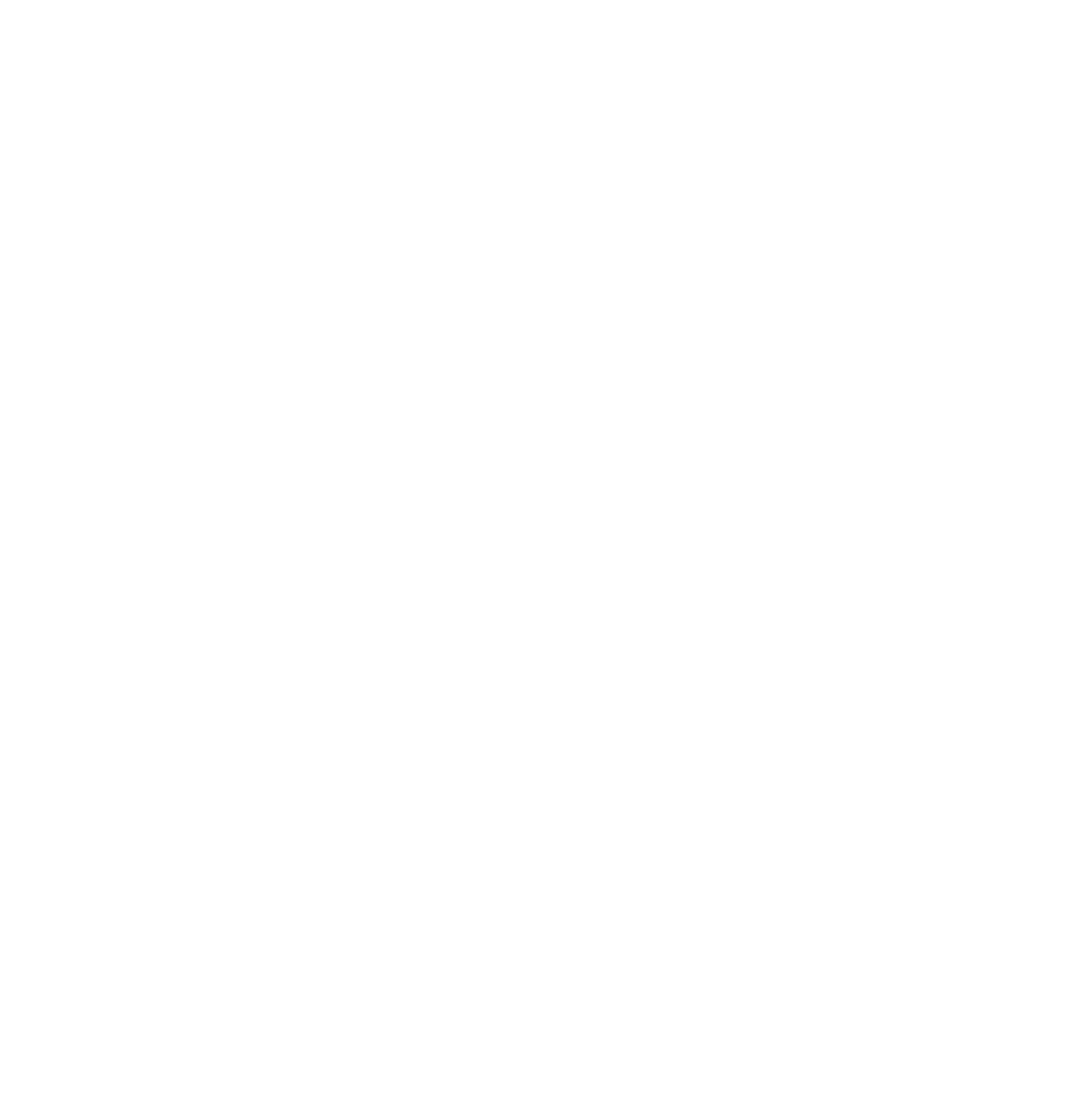 30th_Anniversary_Logo_WHITE.png
