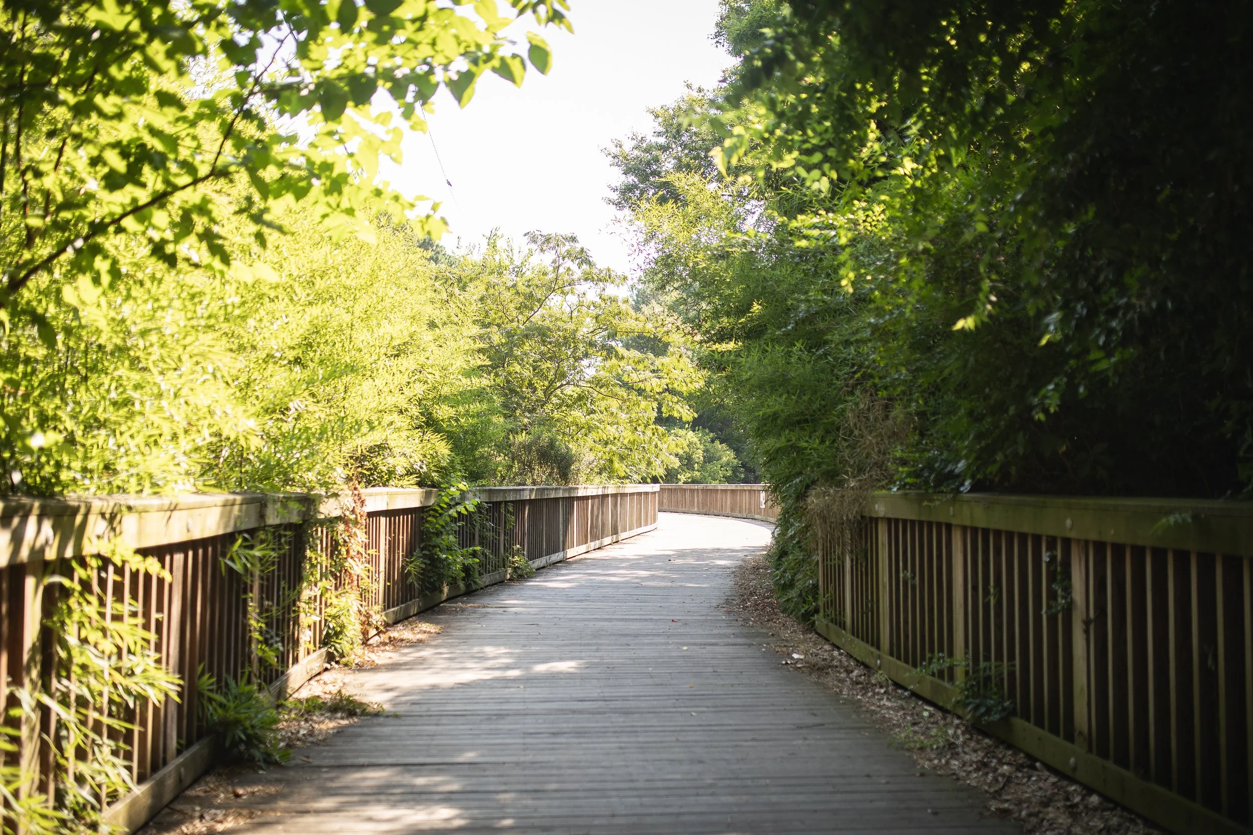 Coastal Virginia boardwalk representing calm, grounded psychological care
