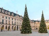 images (2).jpg
