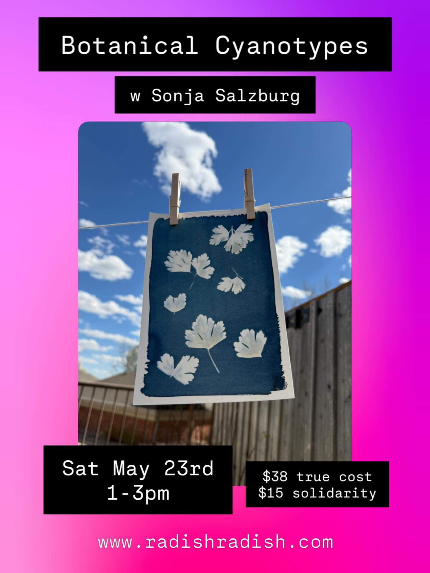 Create unique botanical prints using the power of sunshine in this fun workshop led by Sonja Salzburg (@sonjakphotography). Register at link in bio!