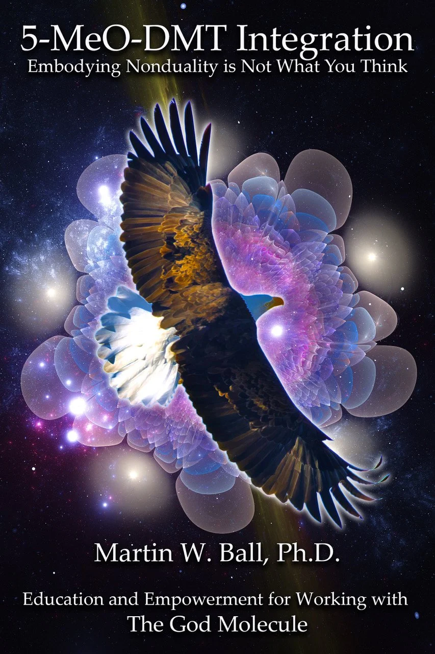 5-MeO-DMT Integration - 2024