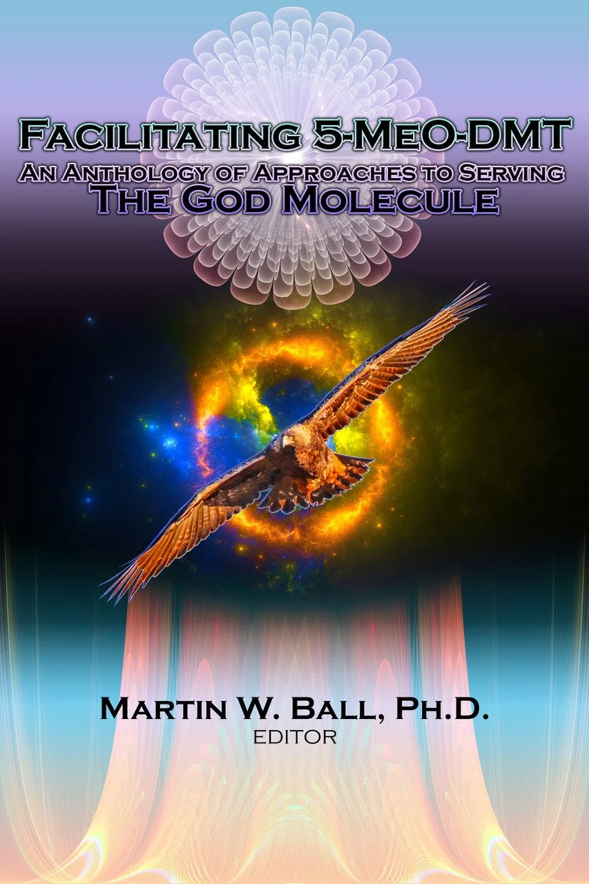 Facilitating 5-MeO-DMT - 2022