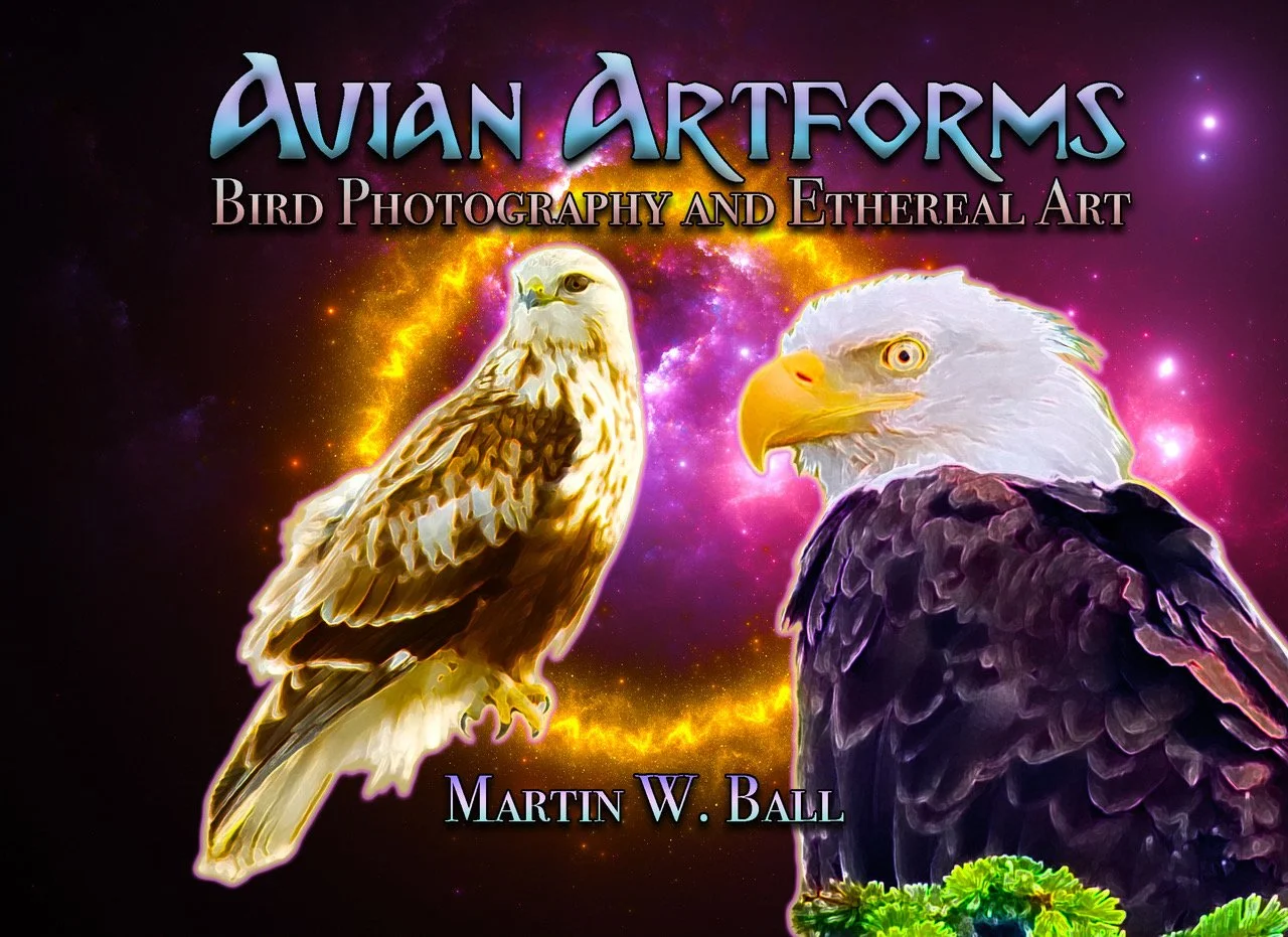 Avian Artforms - 2023