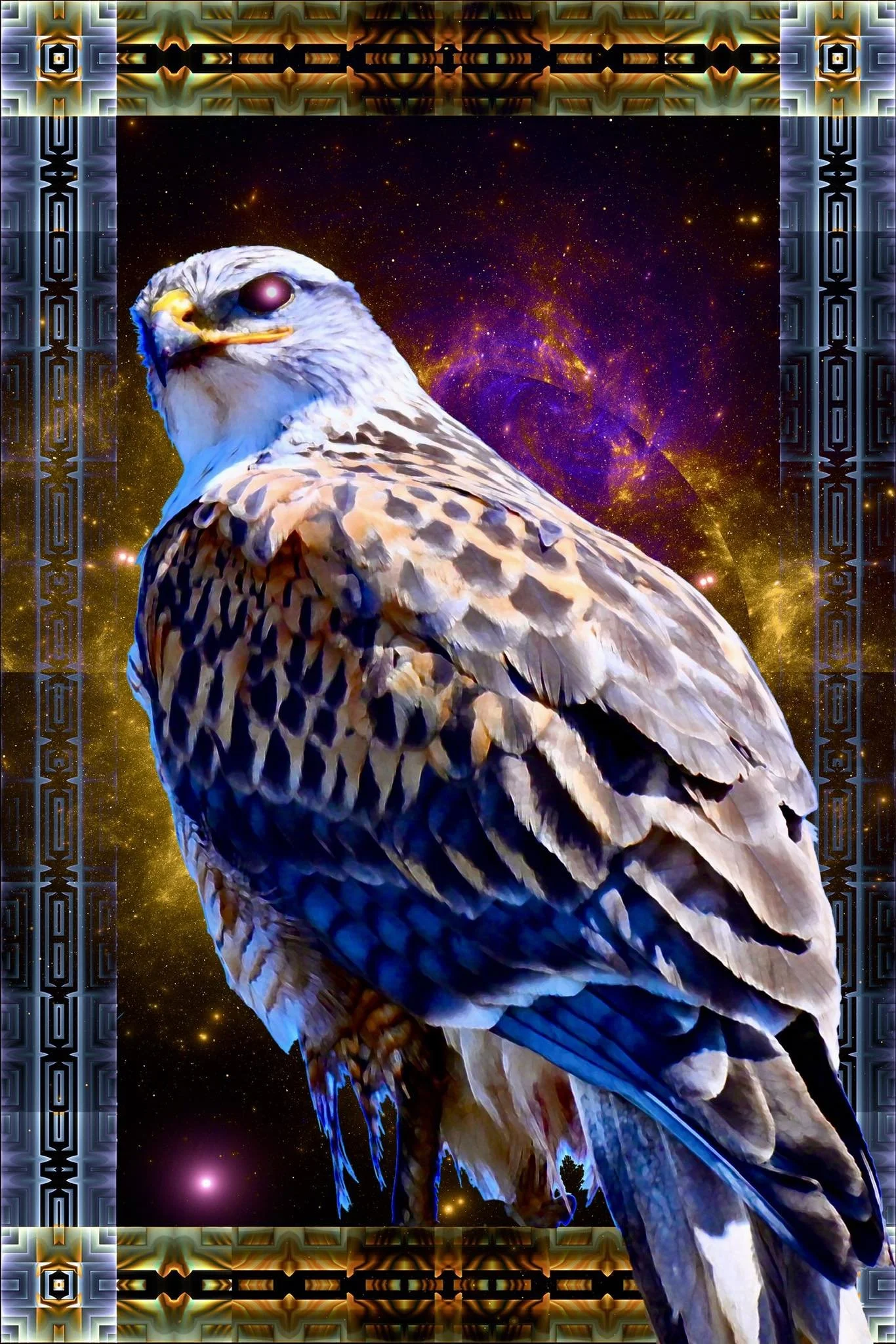 Ferruginous Hawk visionary art