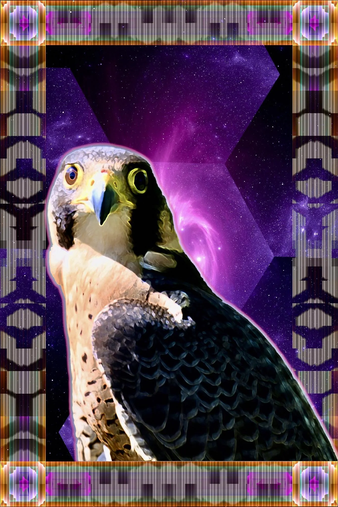 Peregrin falcon, interior, 5-MeO-DMT Glossary