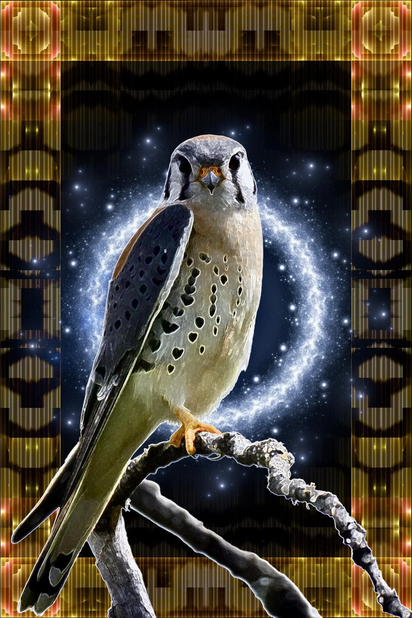 Kestrel, back cover, 5-MeO-DMT glossary