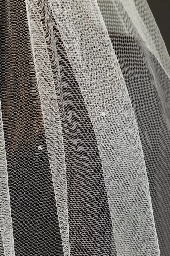 veil 2072 close.jpg