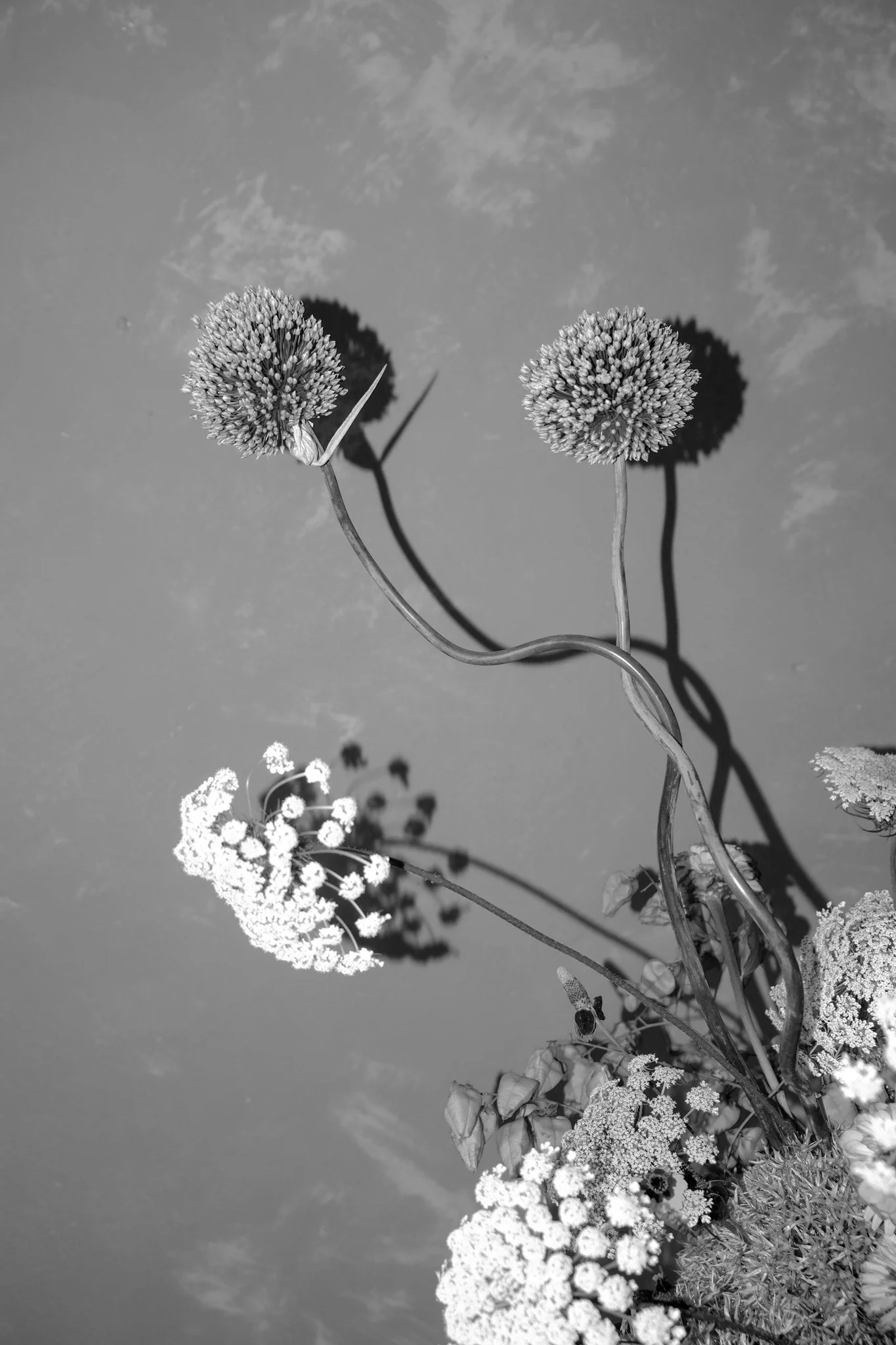 Untitled-74.jpg
