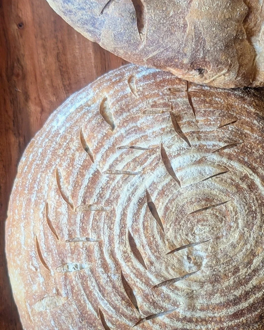 🥖 We are excited to announce the addition of two artisan breads now available for purchase at the caf&eacute;: Garlic Rosemary Sourdough and Gluten-Free Buckwheat Bread. 

These breads are made locally by Saint Drogo&rsquo;s Coffee &amp; Bakehouse l